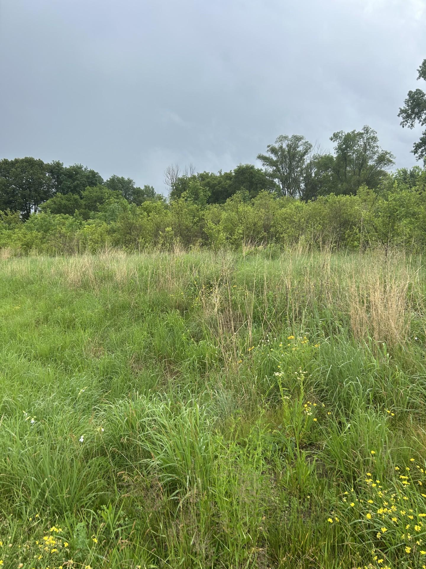 Homes for sale in Northfield, MN | Xxxx 280th St, Northfield, MN 55057 | MLS# 6744989