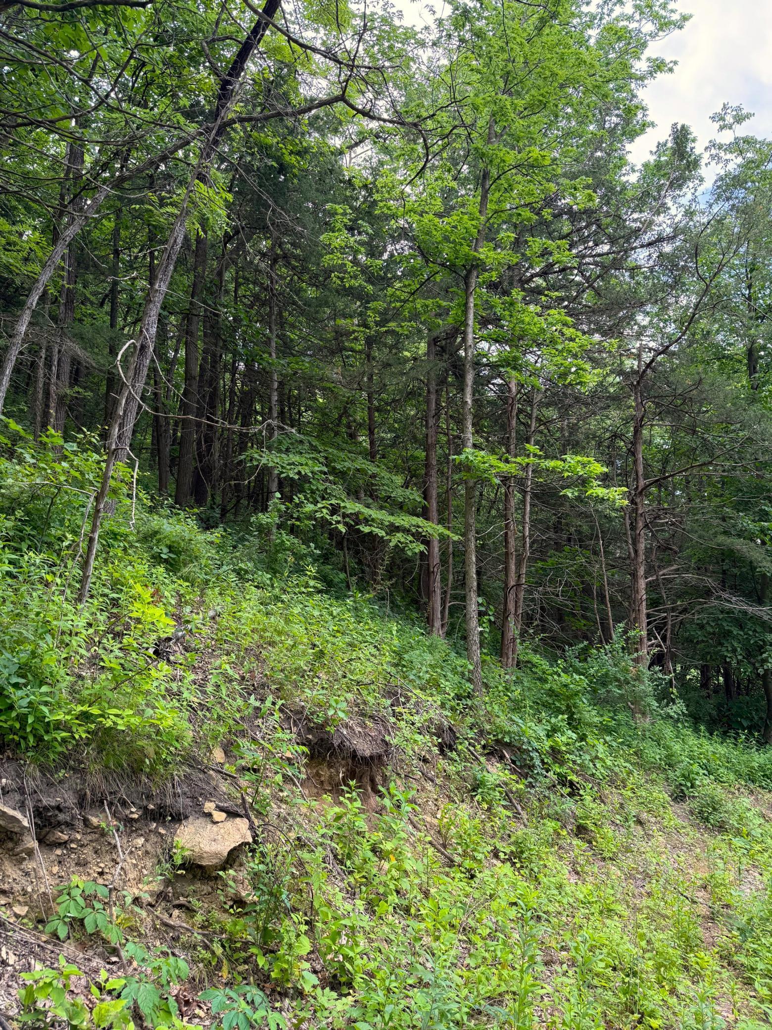 Homes for sale in Stockholm, WI | W12412 State Hwy 35, Stockholm, WI 54769 | MLS# 6745966