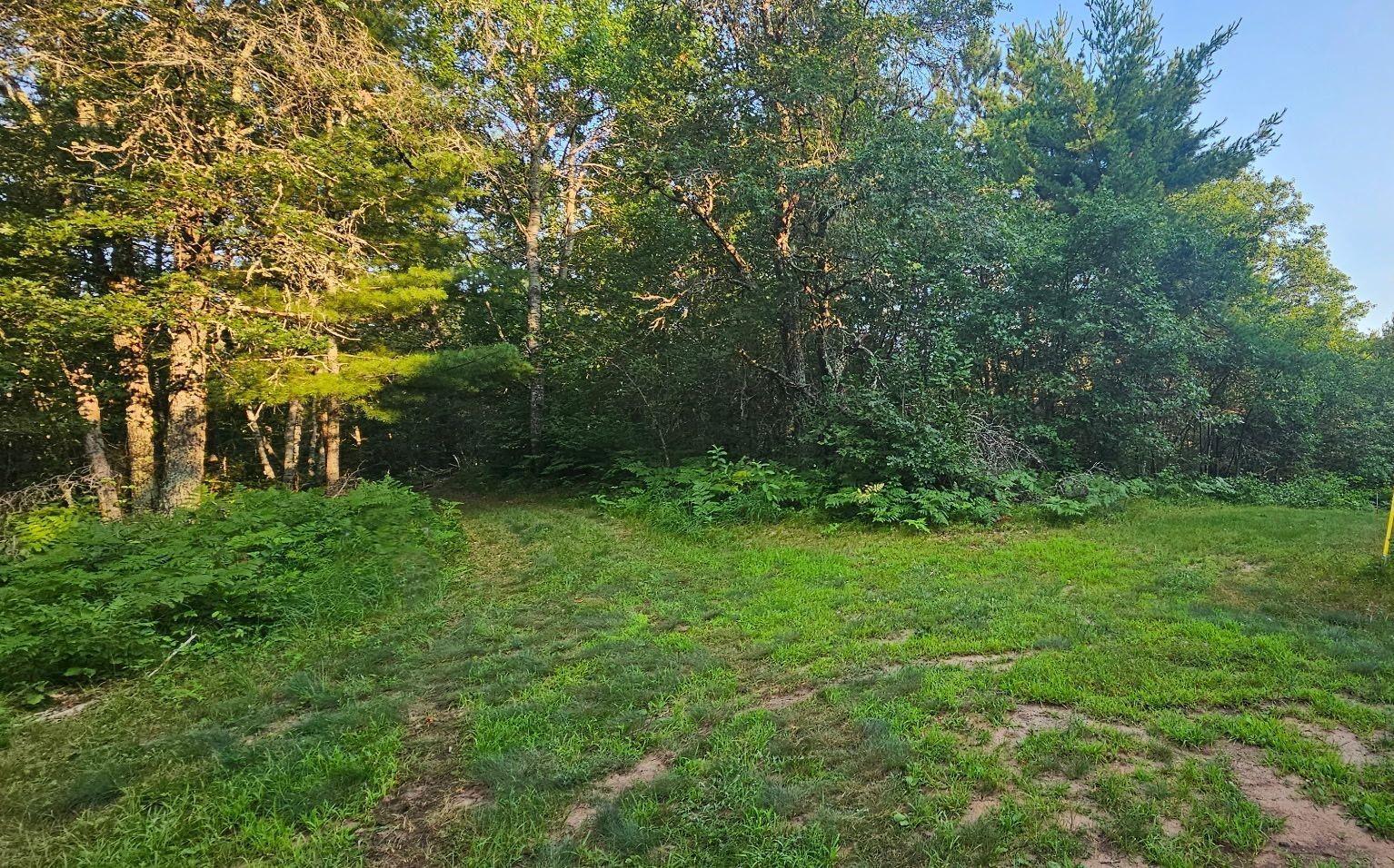 Homes for sale in Danbury, WI | Lot 4 Ken Dorsey Dr, Danbury, WI 54830 | MLS# 6750396