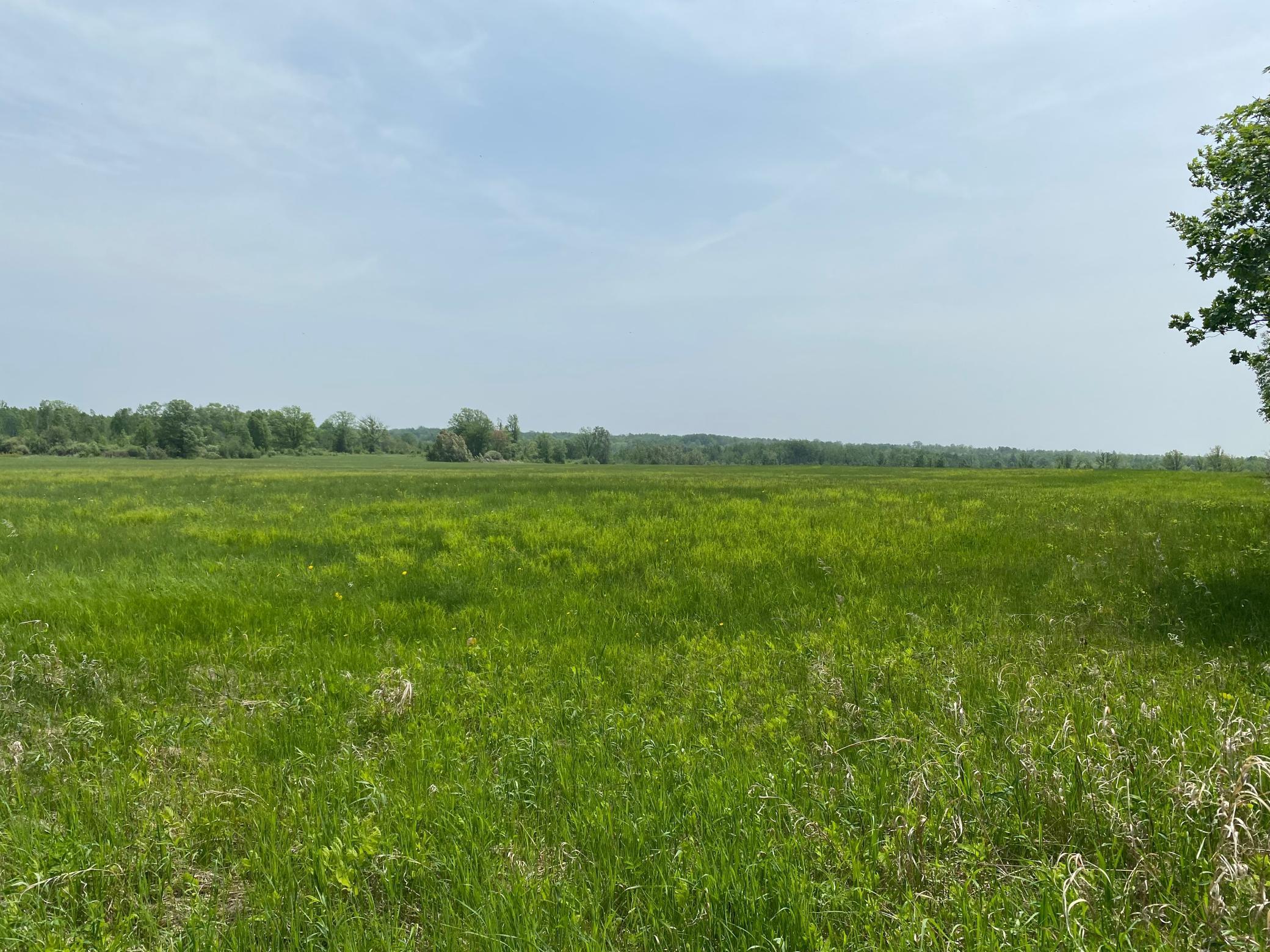 Homes for sale in Kettle River, MN | 29Xx S Finn Rd, Kettle River, MN 55757 | MLS# 6754670