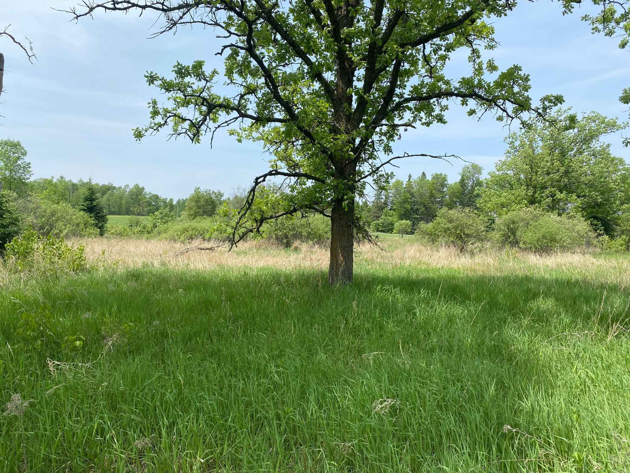 Homes for sale in Kettle River, MN | 29Xx S Finn Rd, Kettle River, MN 55757 | MLS# 6754670