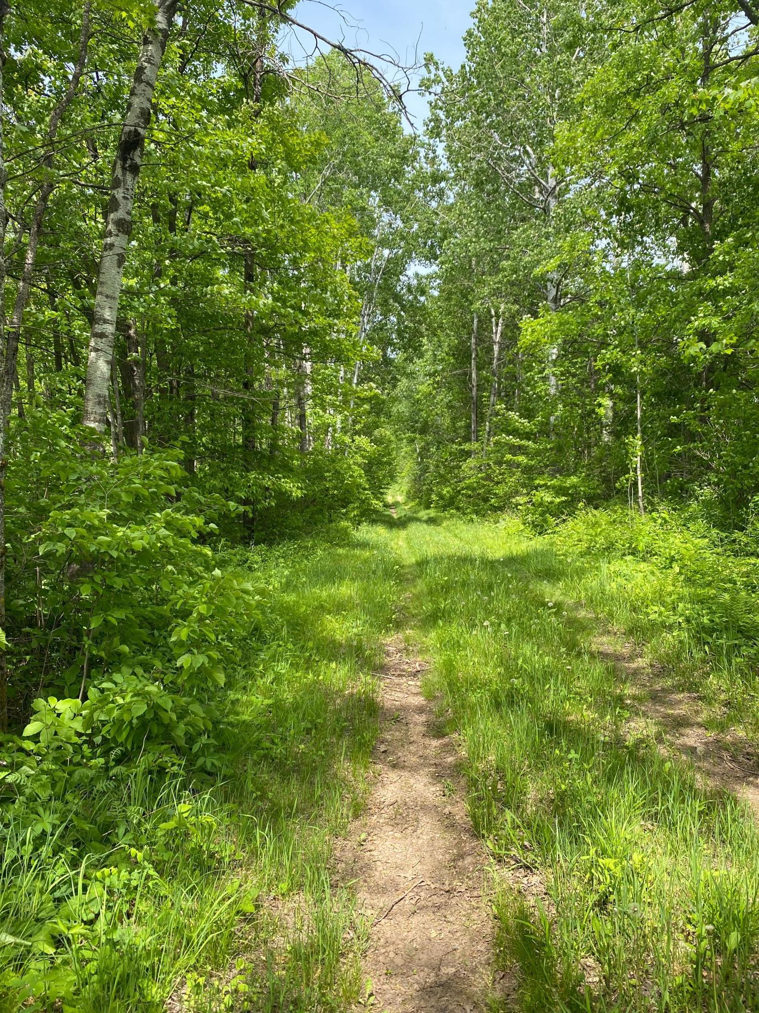 Homes for sale in Kettle River, MN | 29Xx S Finn Rd, Kettle River, MN 55757 | MLS# 6754670