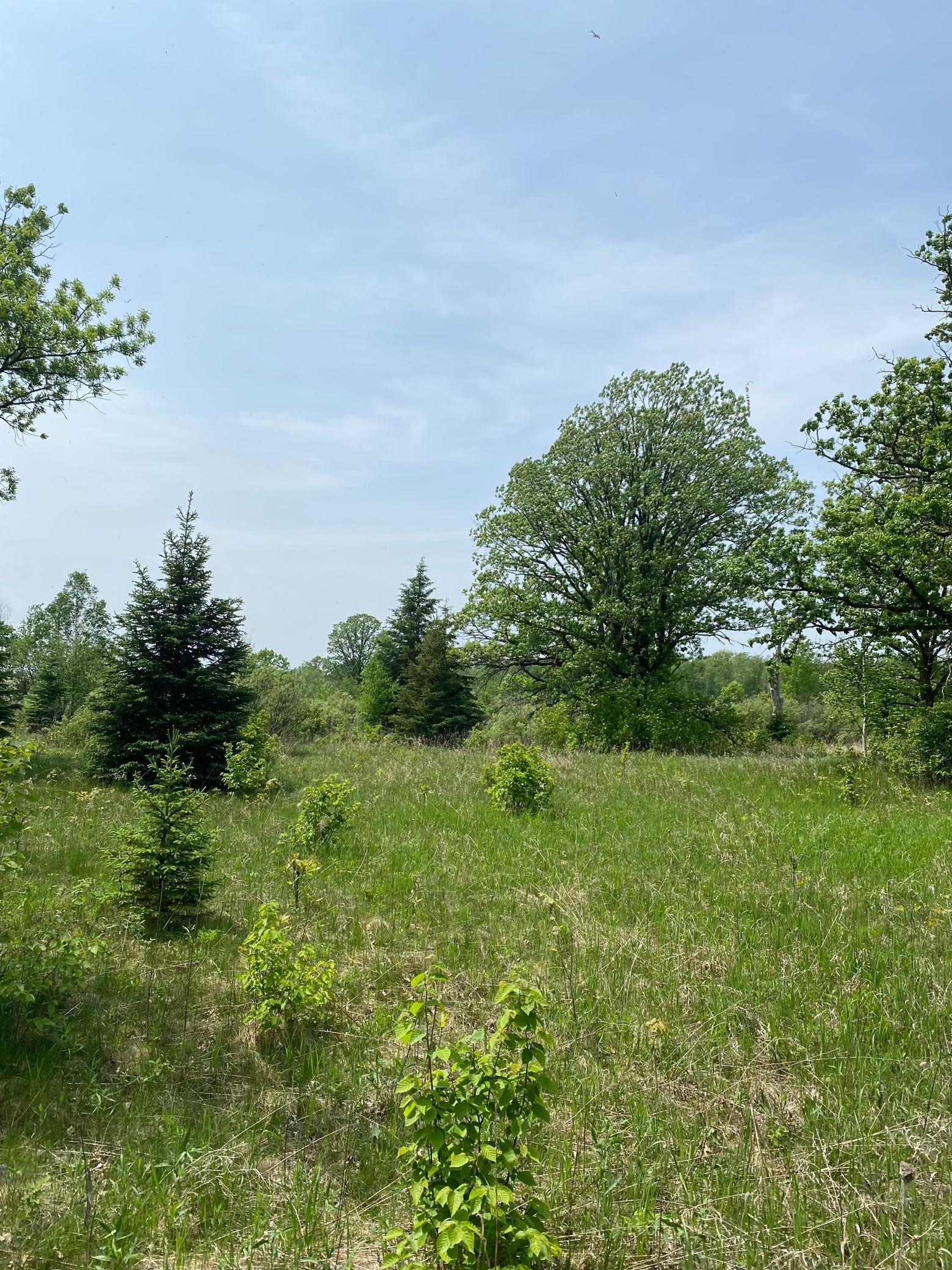 Homes for sale in Kettle River, MN | 29Xx S Finn Rd, Kettle River, MN 55757 | MLS# 6754670