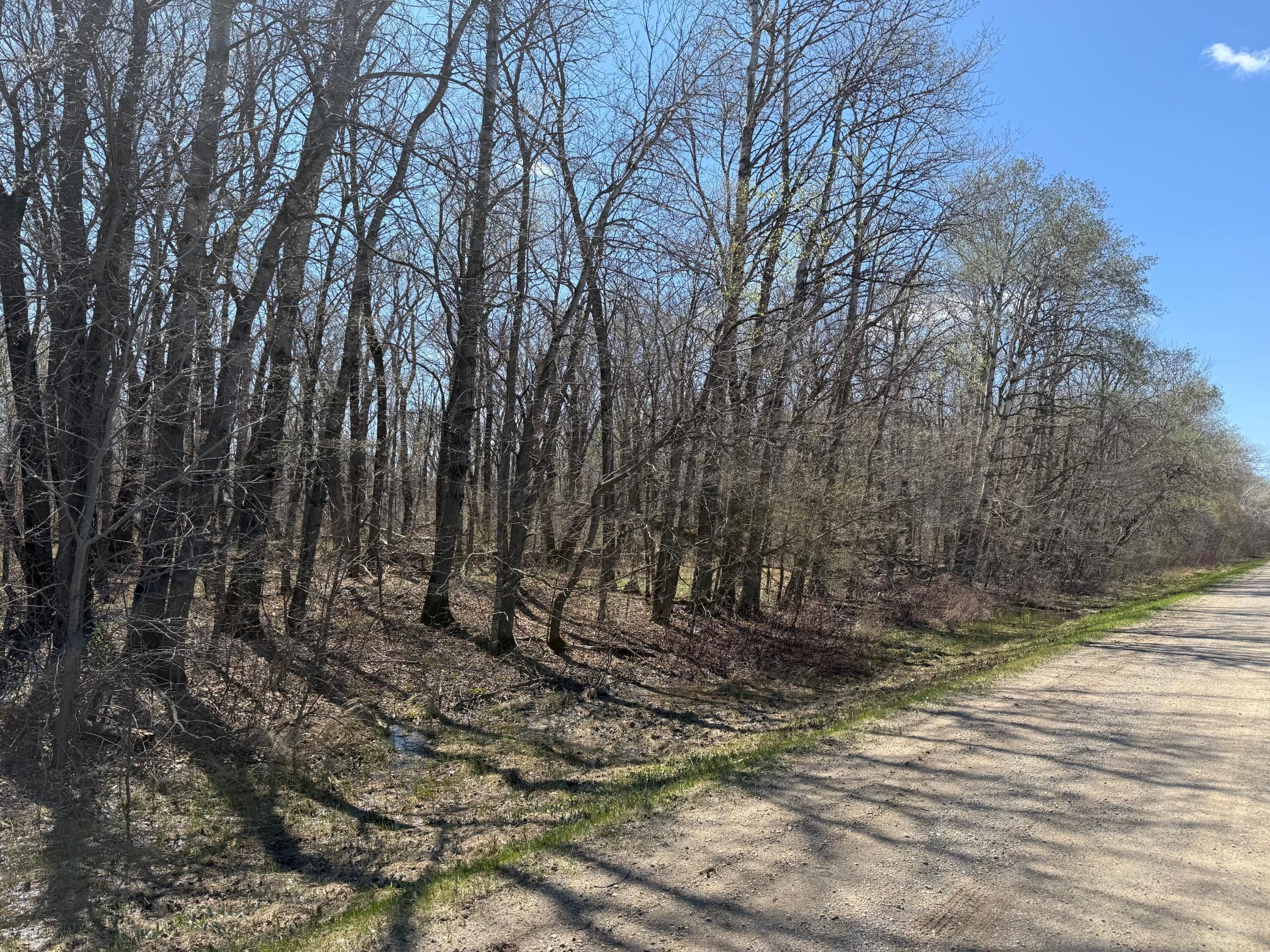 12th image of Tbd 306th St, Henderson, MN 56044 | MLS# 6756046