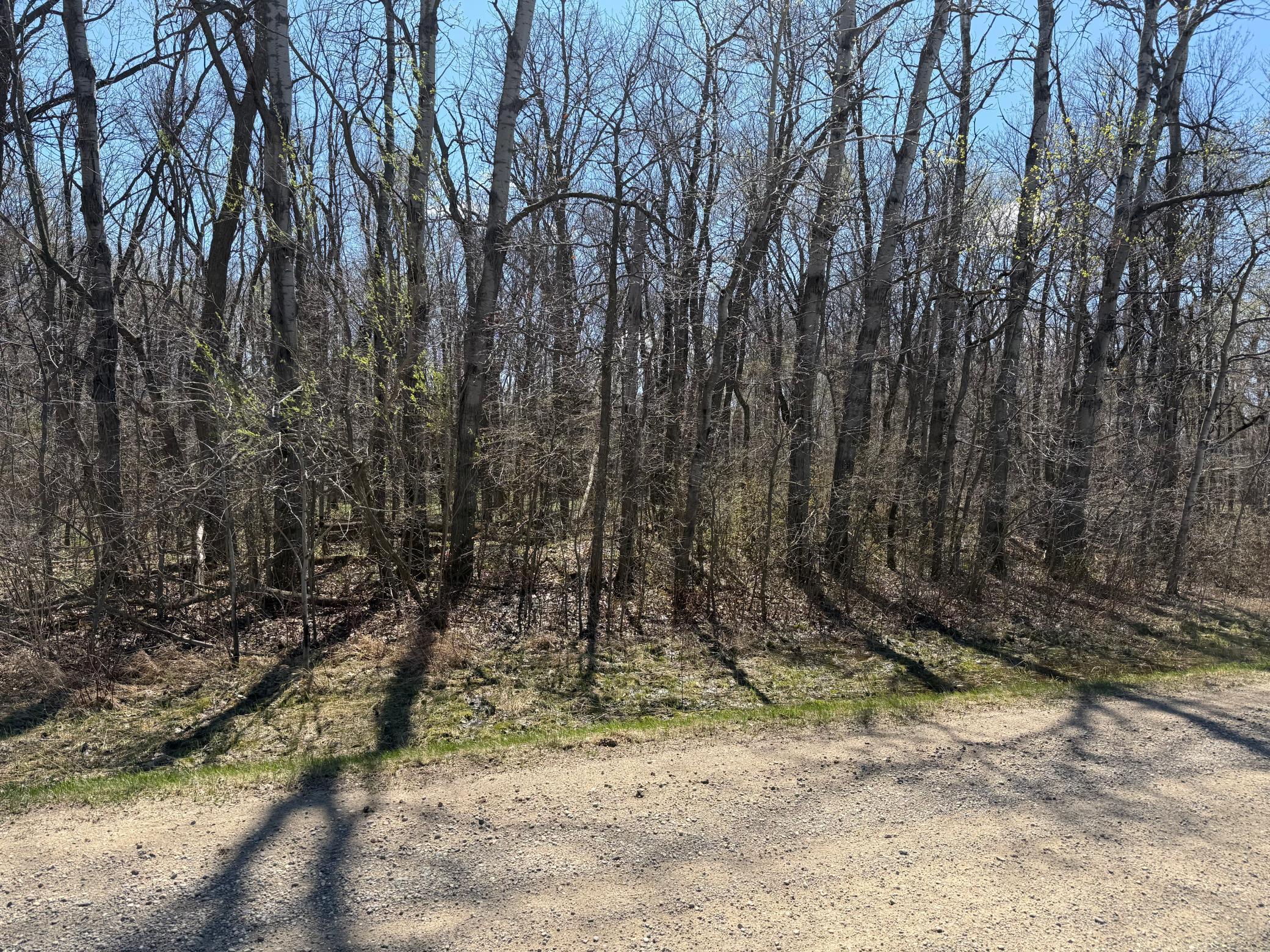 4th image of Tbd 306Th St, Henderson, MN 56044 | MLS# 6756046