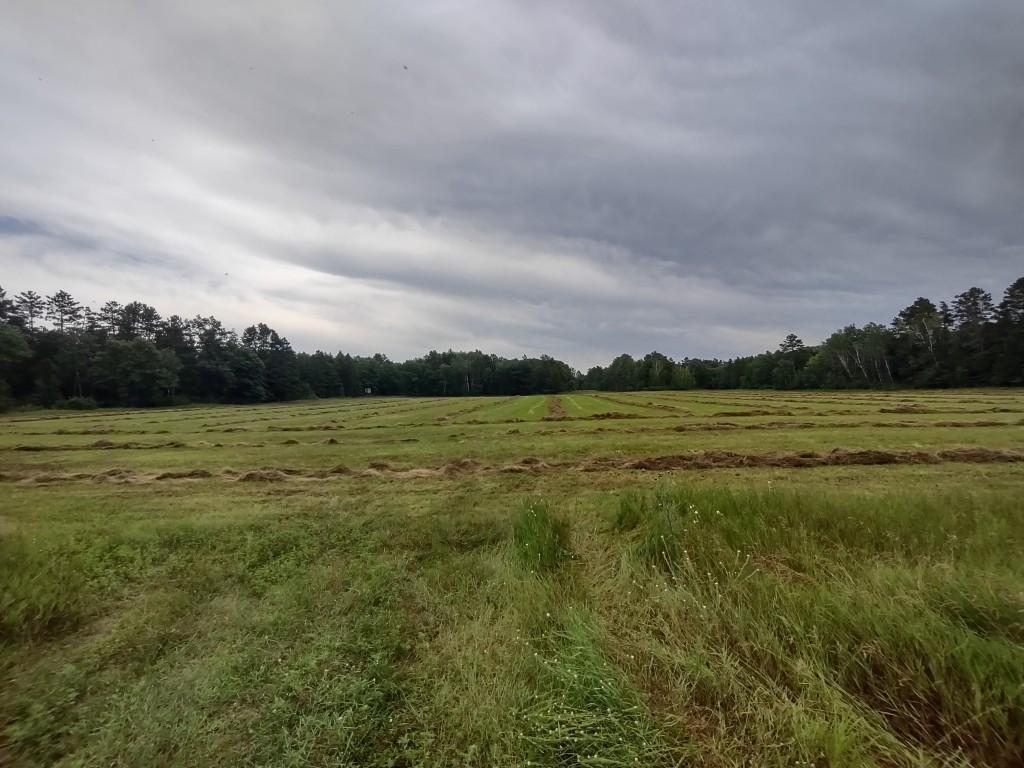 Homes for sale in Sebeka, MN | Xxxx 159Th Ave, Sebeka, MN 56477 | MLS# 6760117