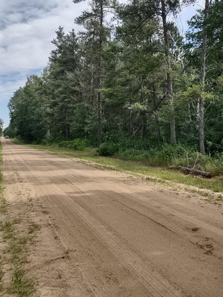 Homes for sale in Sebeka, MN | Xxxx 159Th Ave, Sebeka, MN 56477 | MLS# 6760117