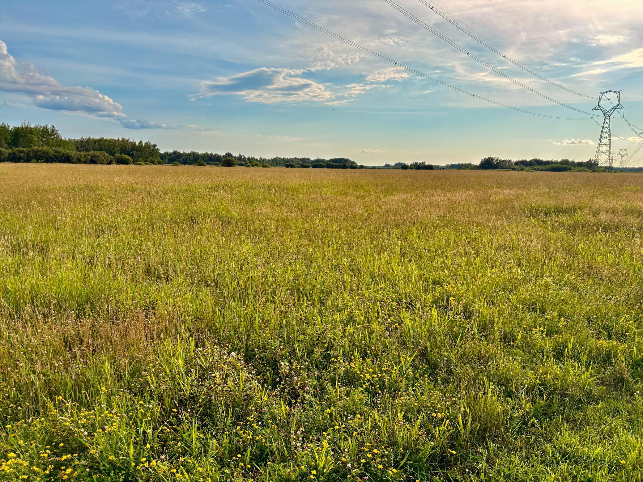 Homes for sale in Baudette, MN | Tbd 13th Ave Sw, Baudette, MN 56623 | MLS# 6769294