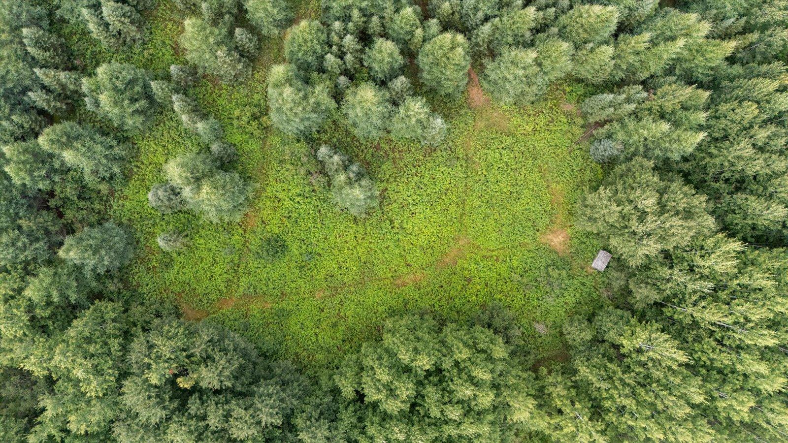 Homes for sale in Alango Twp, MN | 9401 Samuelson Rd, Alango Twp, MN 55703 | MLS# 6772774