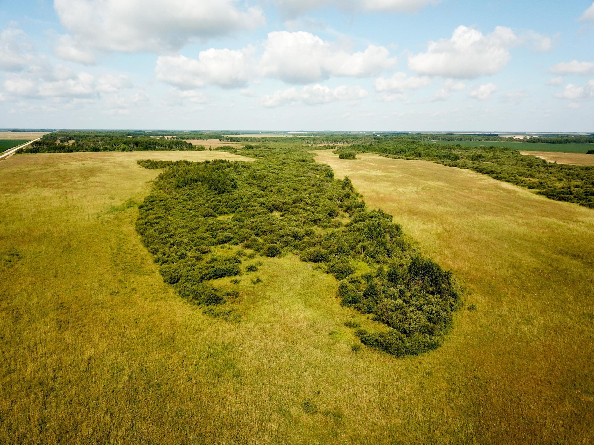 Homes for sale in Badger, MN | Tbd 220Th Ave, Badger, MN 56714 | MLS# 6773905