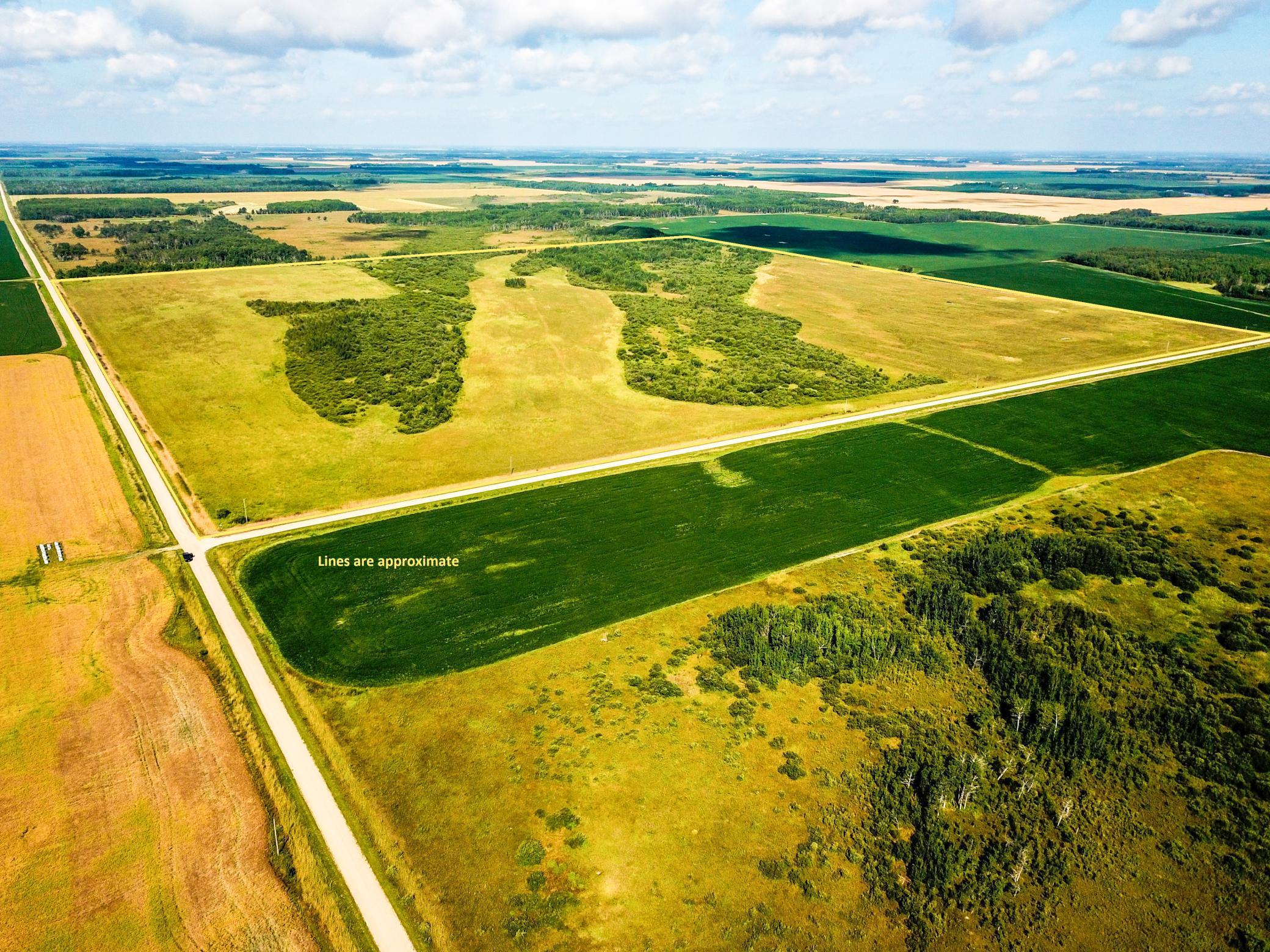 Homes for sale in Badger, MN | Tbd 220th Ave, Badger, MN 56714 | MLS# 6773905