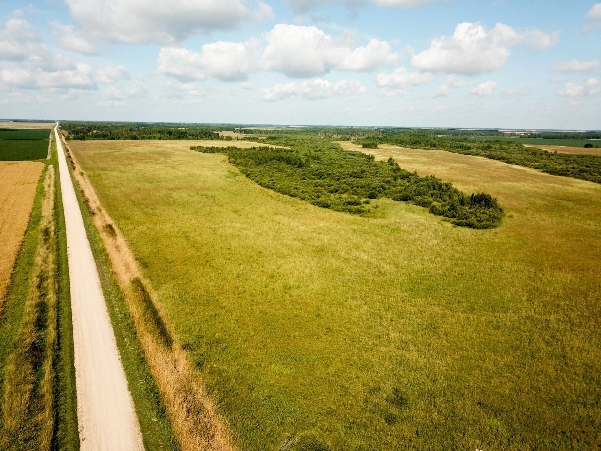 Homes for sale in Badger, MN | Tbd 220Th Ave, Badger, MN 56714 | MLS# 6773905