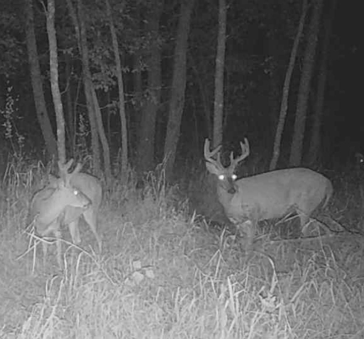 Homes for sale in Brainerd, MN | Lot 5 Butternut Road, Brainerd, MN 56401 | MLS# 6776418