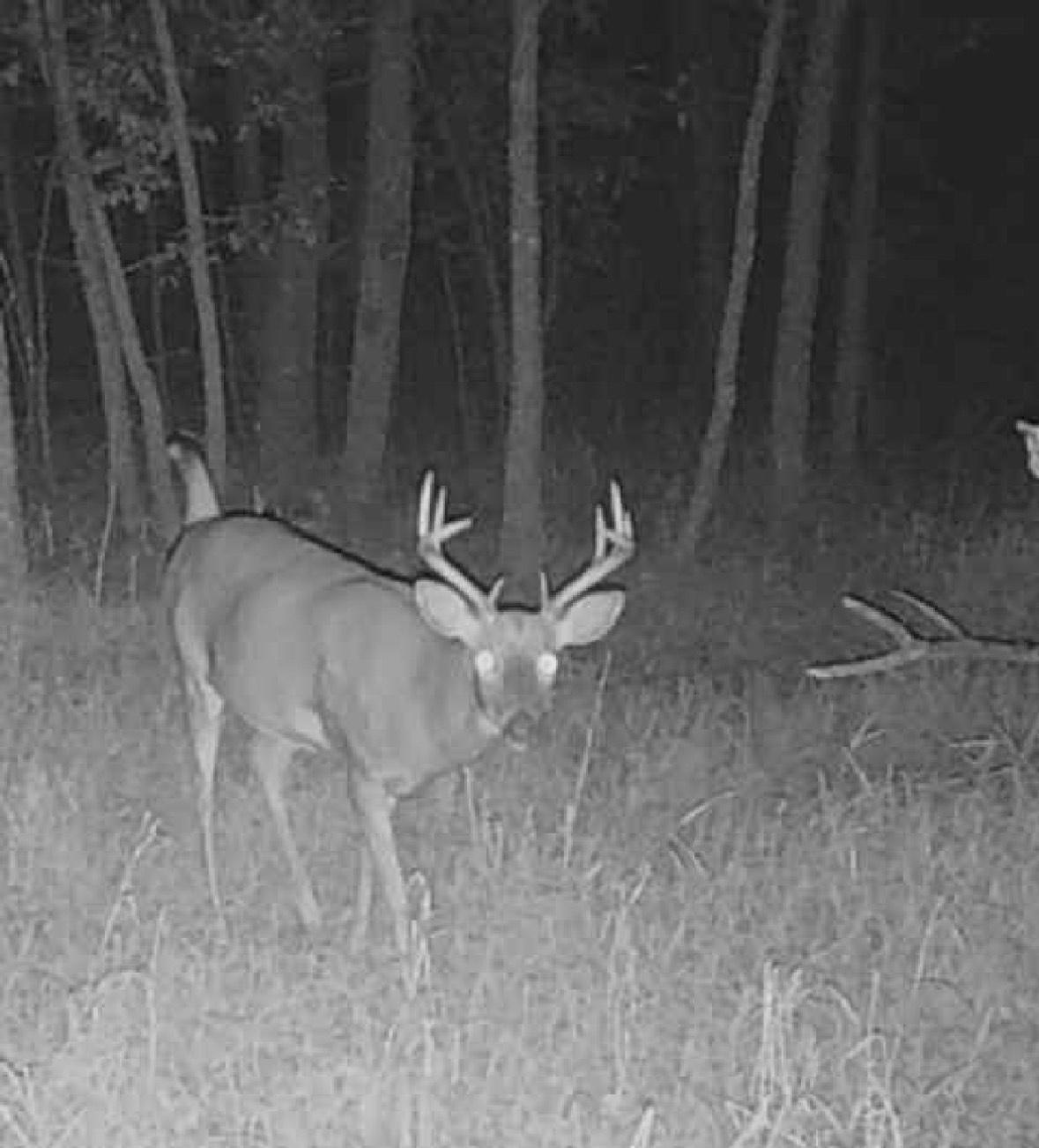 Homes for sale in Brainerd, MN | Lot 5 Butternut Road, Brainerd, MN 56401 | MLS# 6776418