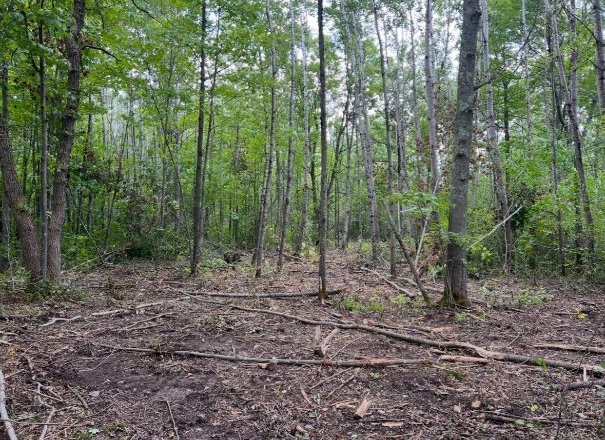 Homes for sale in Brainerd, MN | Lot 5 Butternut Road, Brainerd, MN 56401 | MLS# 6776418