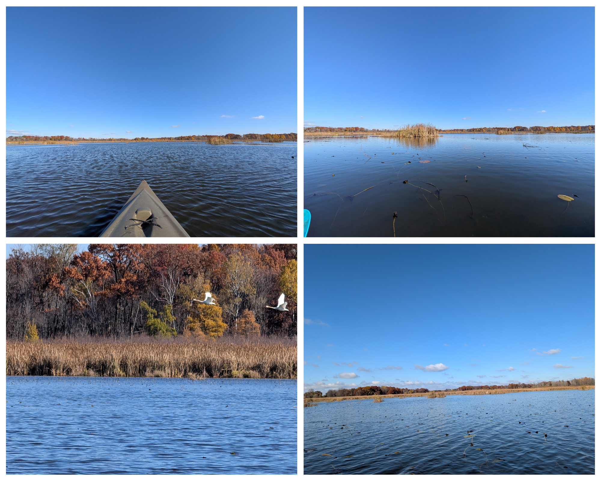 Homes for sale in Andover, MN | 17265 Ward Lake Dr Nw, Andover, MN 55304 | MLS# 6780579