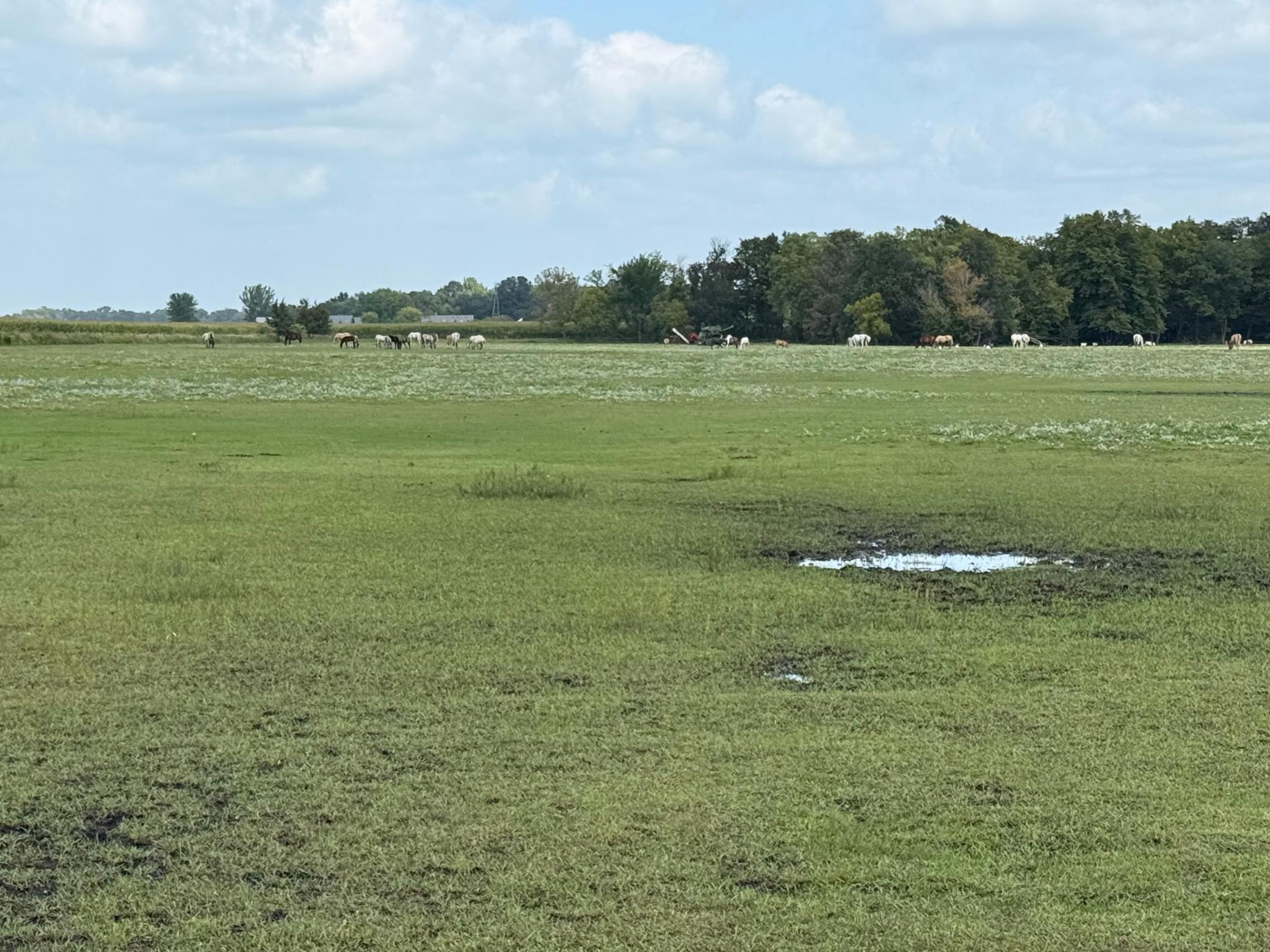 Homes for sale in North Mankato, MN | 38388 512th St, North Mankato, MN 56003 | MLS# 6783901