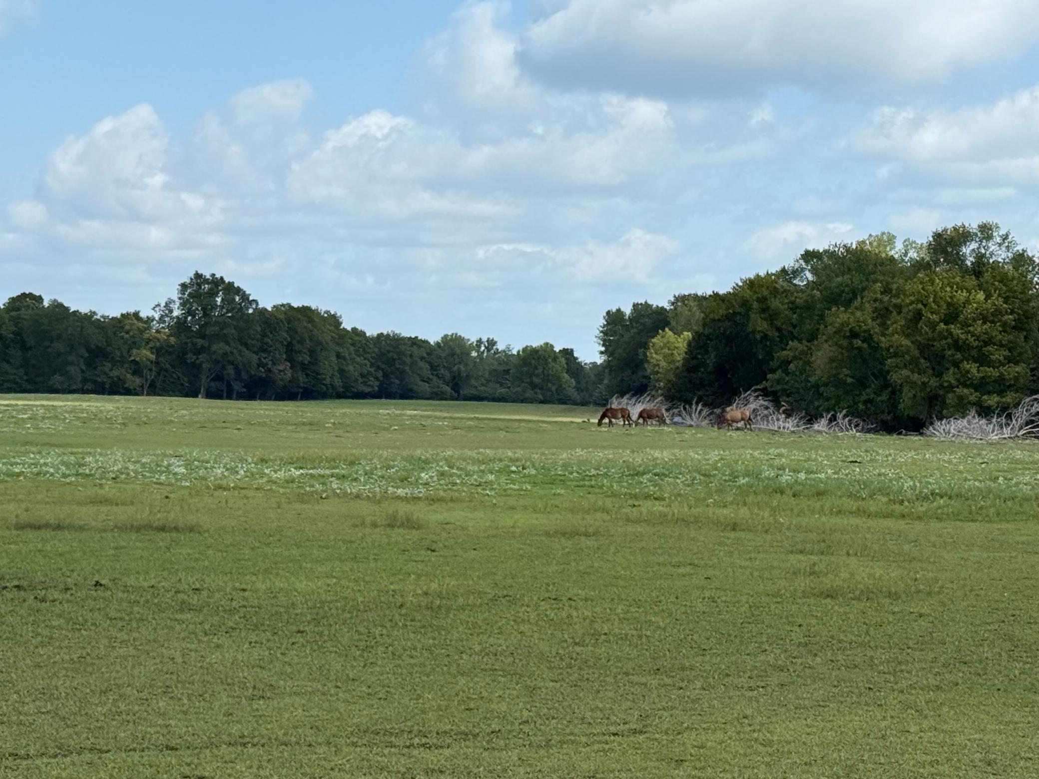 Homes for sale in North Mankato, MN | 38388 512th St, North Mankato, MN 56003 | MLS# 6783901