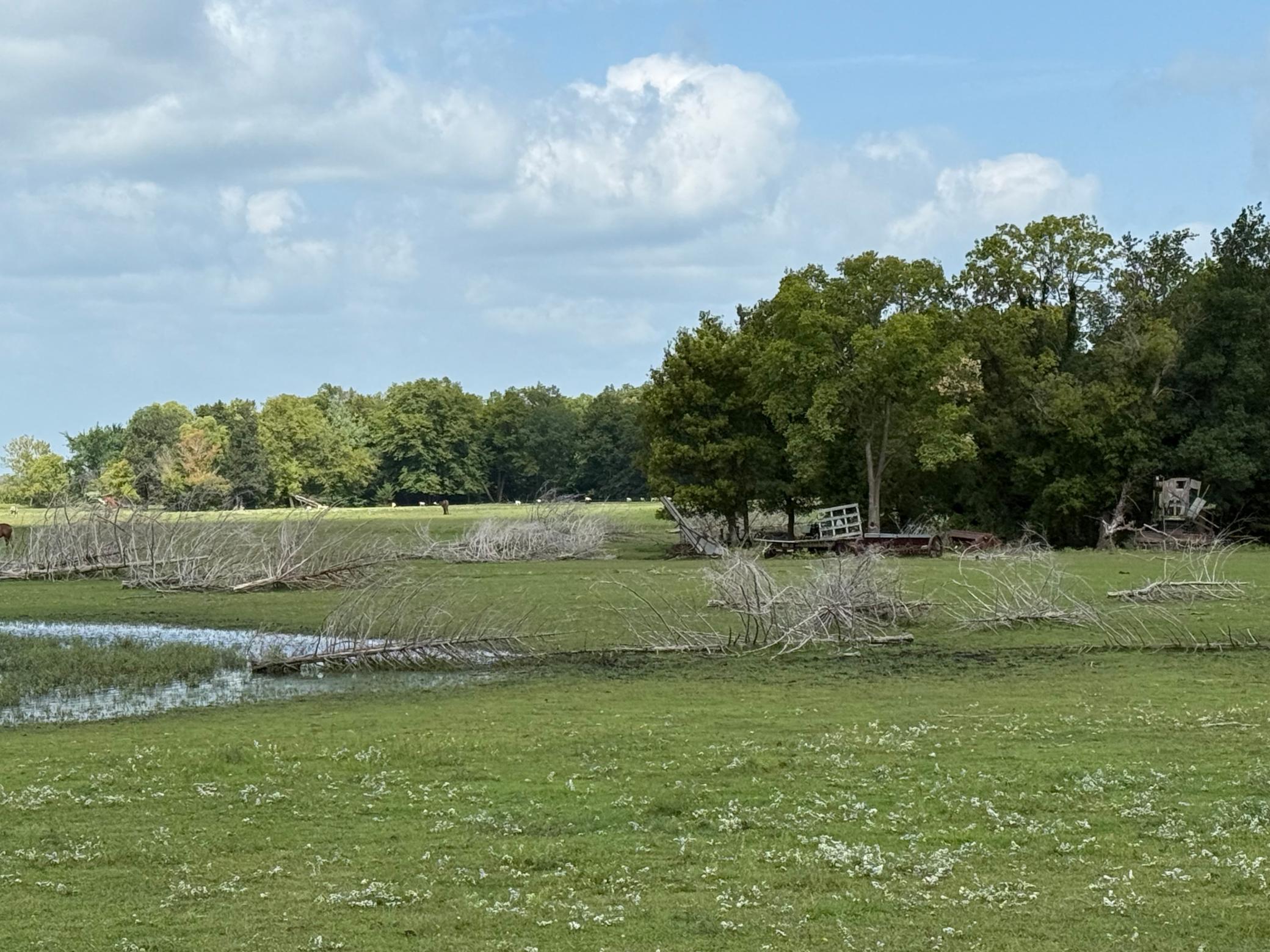 Homes for sale in North Mankato, MN | 38388 512Th St, North Mankato, MN 56003 | MLS# 6783901