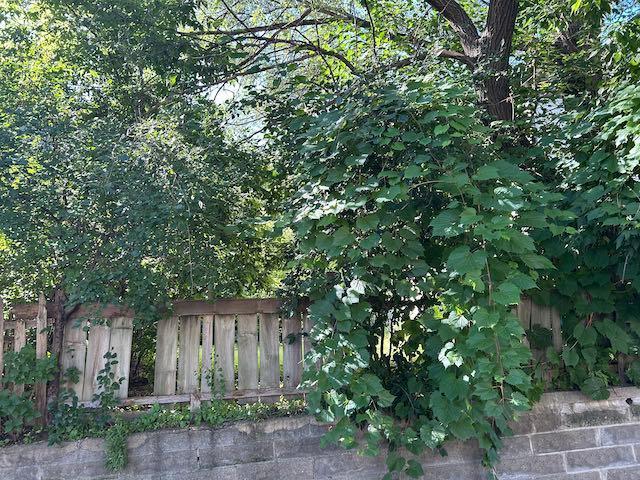 Homes for sale in St. Paul, MN | 422 Mount Ida St, St. Paul, MN 55130 | MLS# 6784475