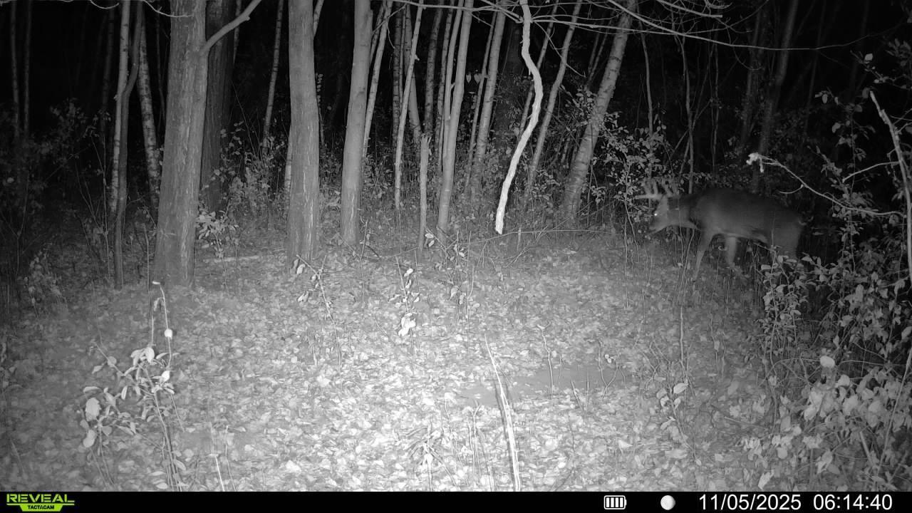 Homes for sale in Baldwin, WI | 1176 230th St, Baldwin, WI 54002 | MLS# 6784514