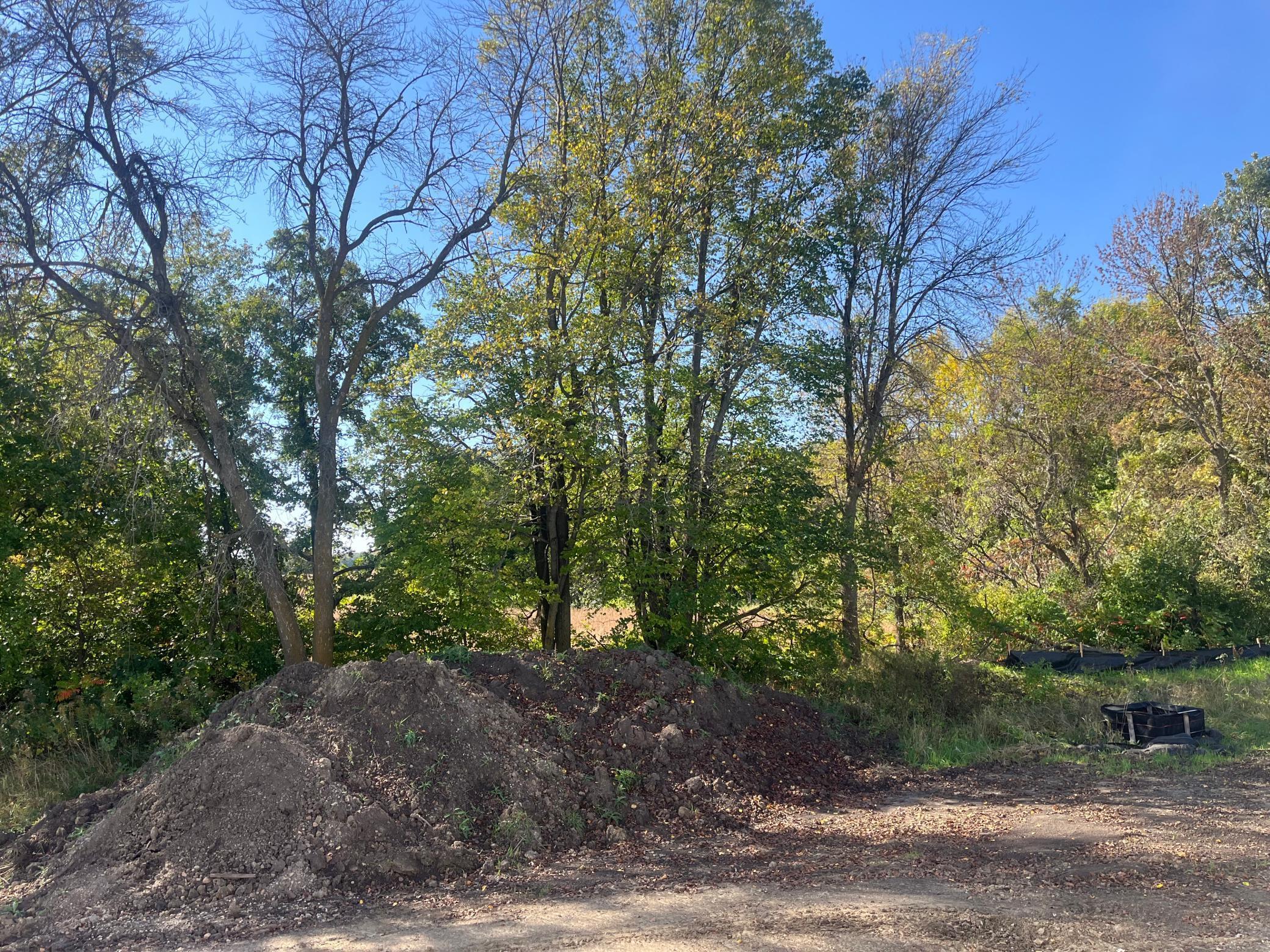 Homes for sale in Waconia, MN | 1881 Charleston Ln, Waconia, MN 55387 | MLS# 6785488