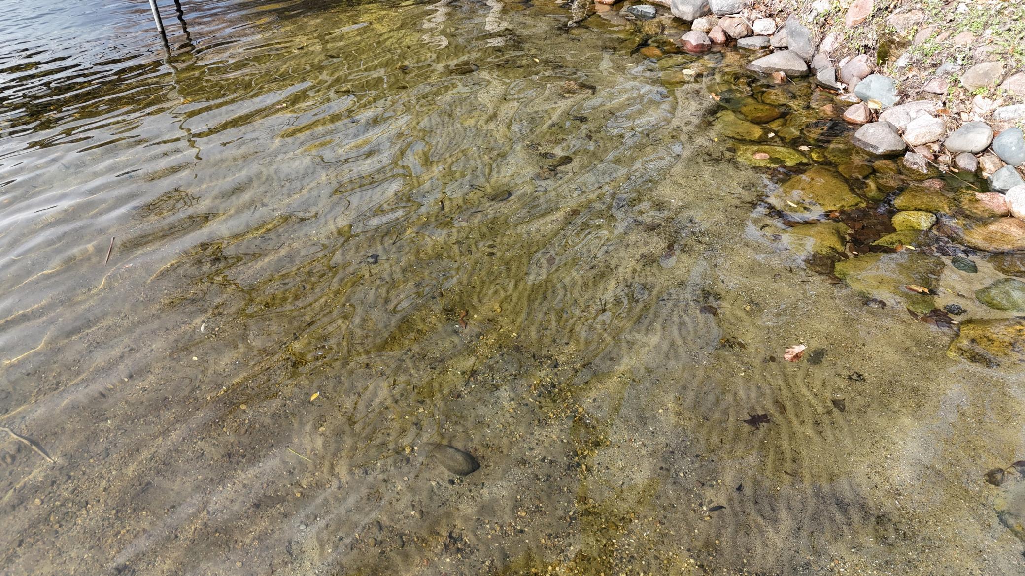 Homes for sale in Annandale, MN | 7939 Lake John Dr, Annandale, MN 55302 | MLS# 6786998