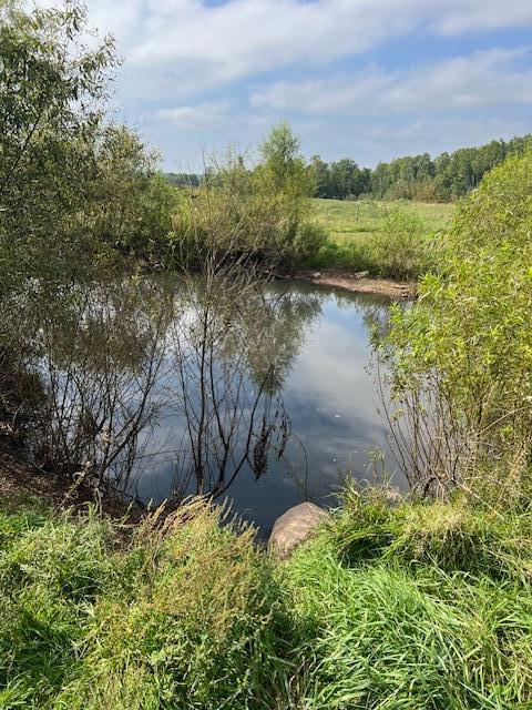 Homes for sale in Pine City, MN | 8379 Deer Valley Rd, Pine City, MN 55063 | MLS# 6788755