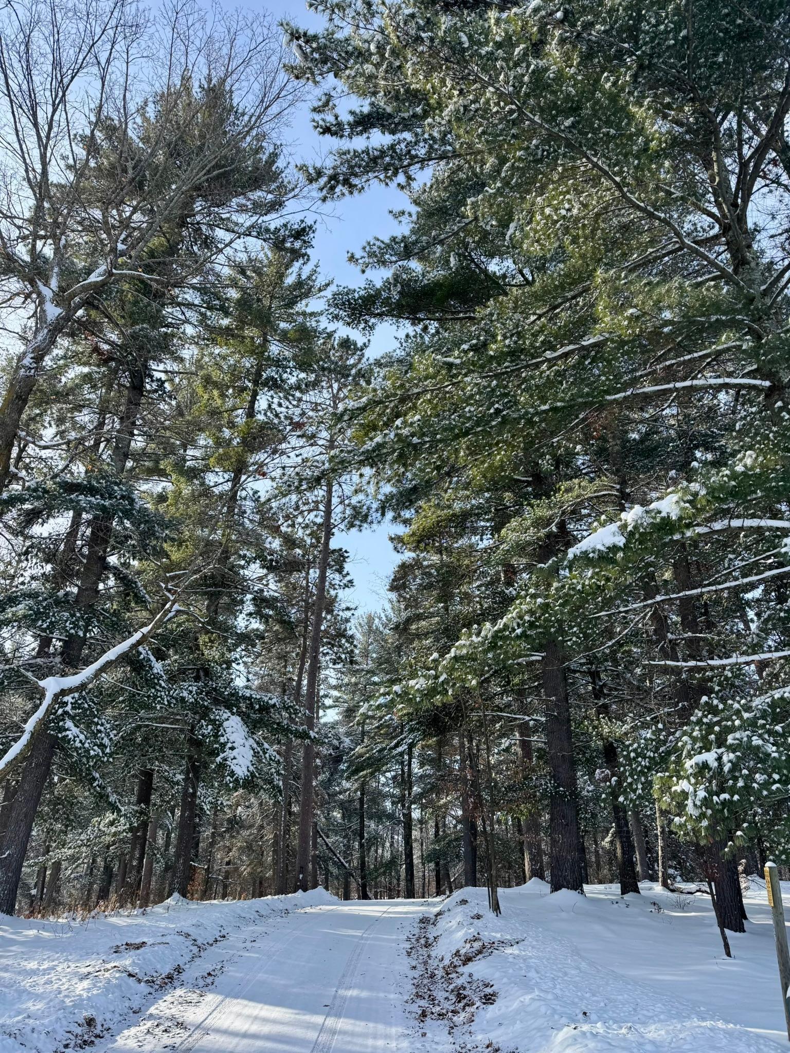 Homes for sale in Osage, MN | 52568 180th St, Osage, MN 56570 | MLS# 6789091