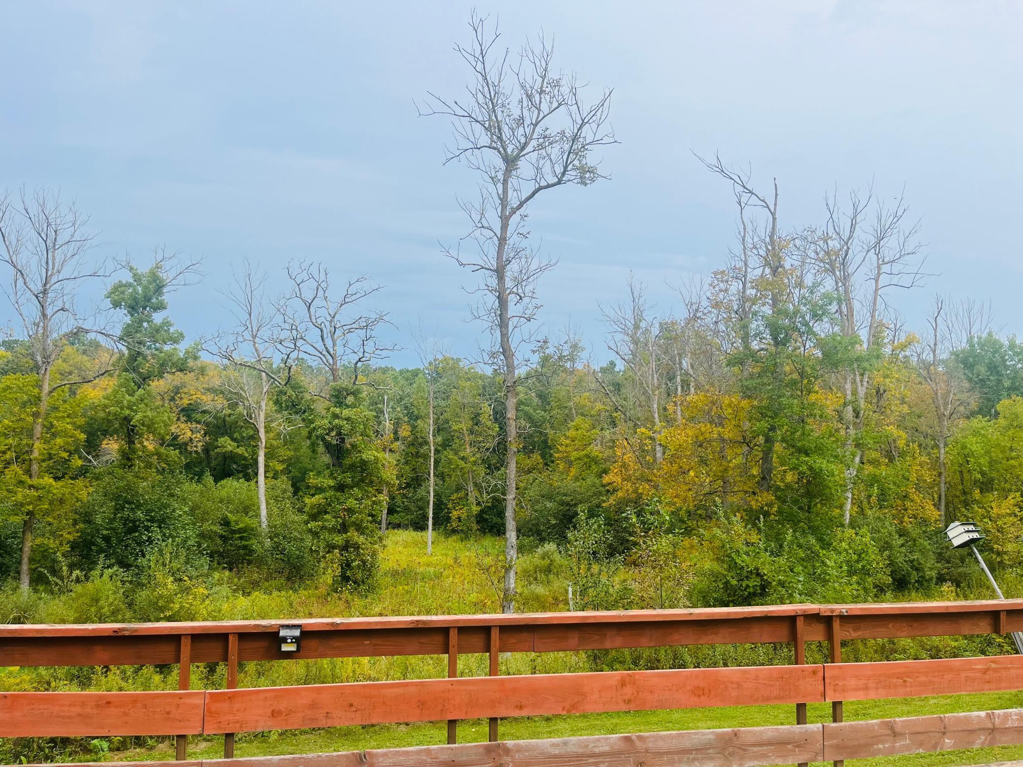 Homes for sale in Ogilvie, MN | 1662 140th Ave, Ogilvie, MN 56358 | MLS# 6789734