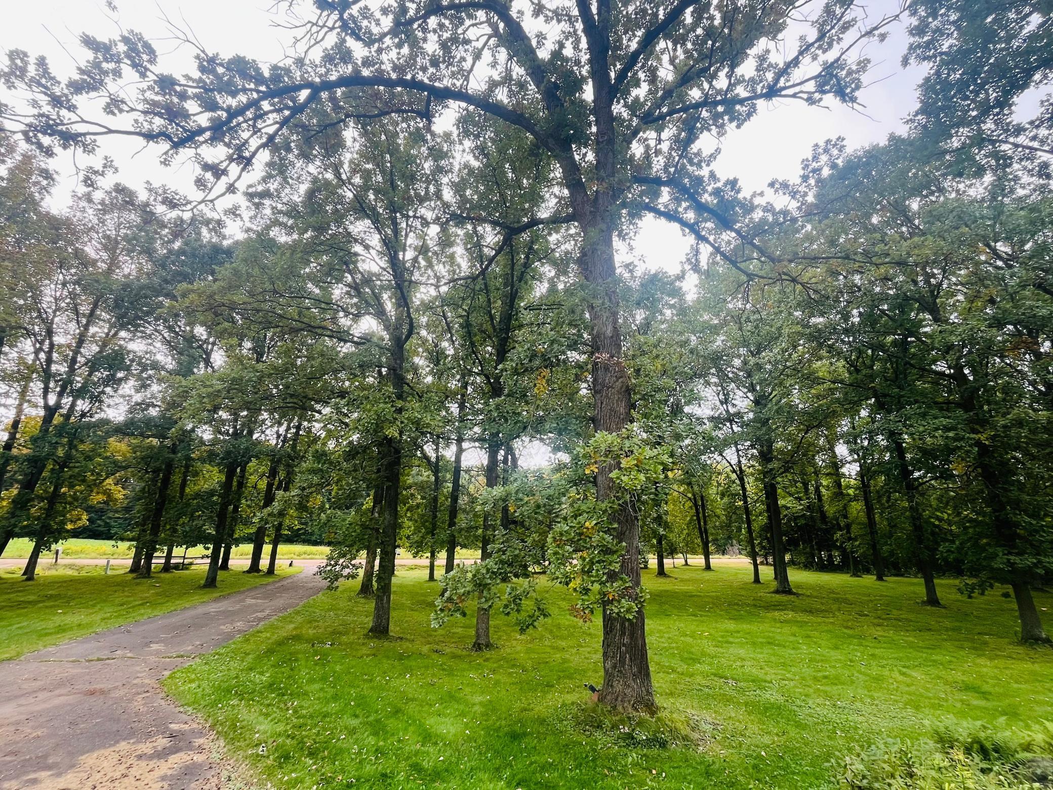 Homes for sale in Ogilvie, MN | 1662 140th Ave, Ogilvie, MN 56358 | MLS# 6789734