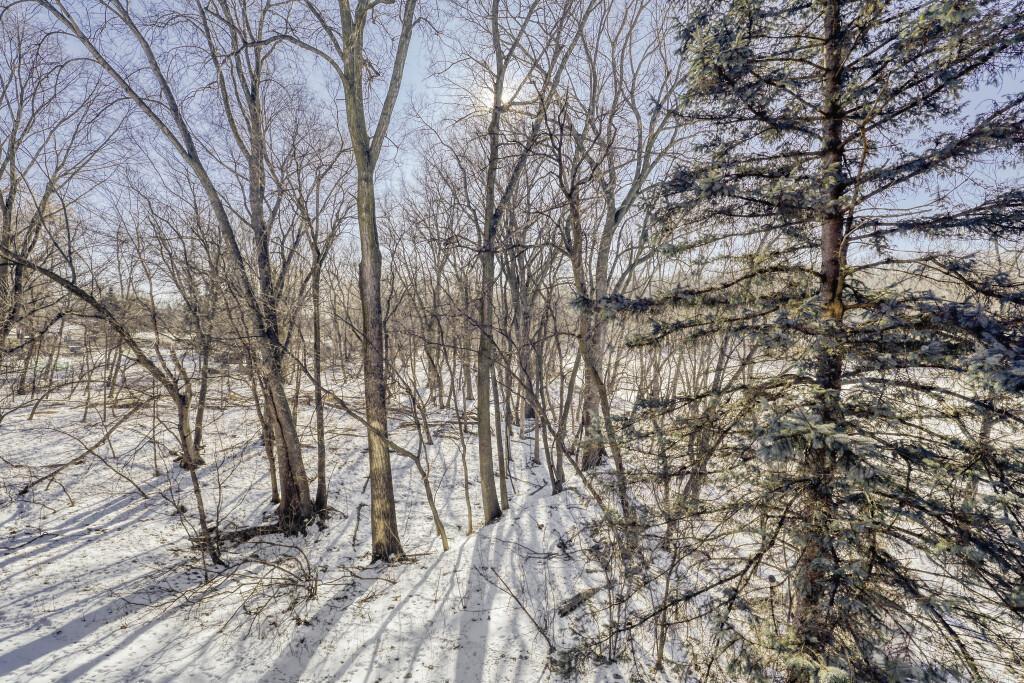 Homes for sale in Roseville, MN | 500 County Road B W #202, Roseville, MN 55113 | MLS# 6791360