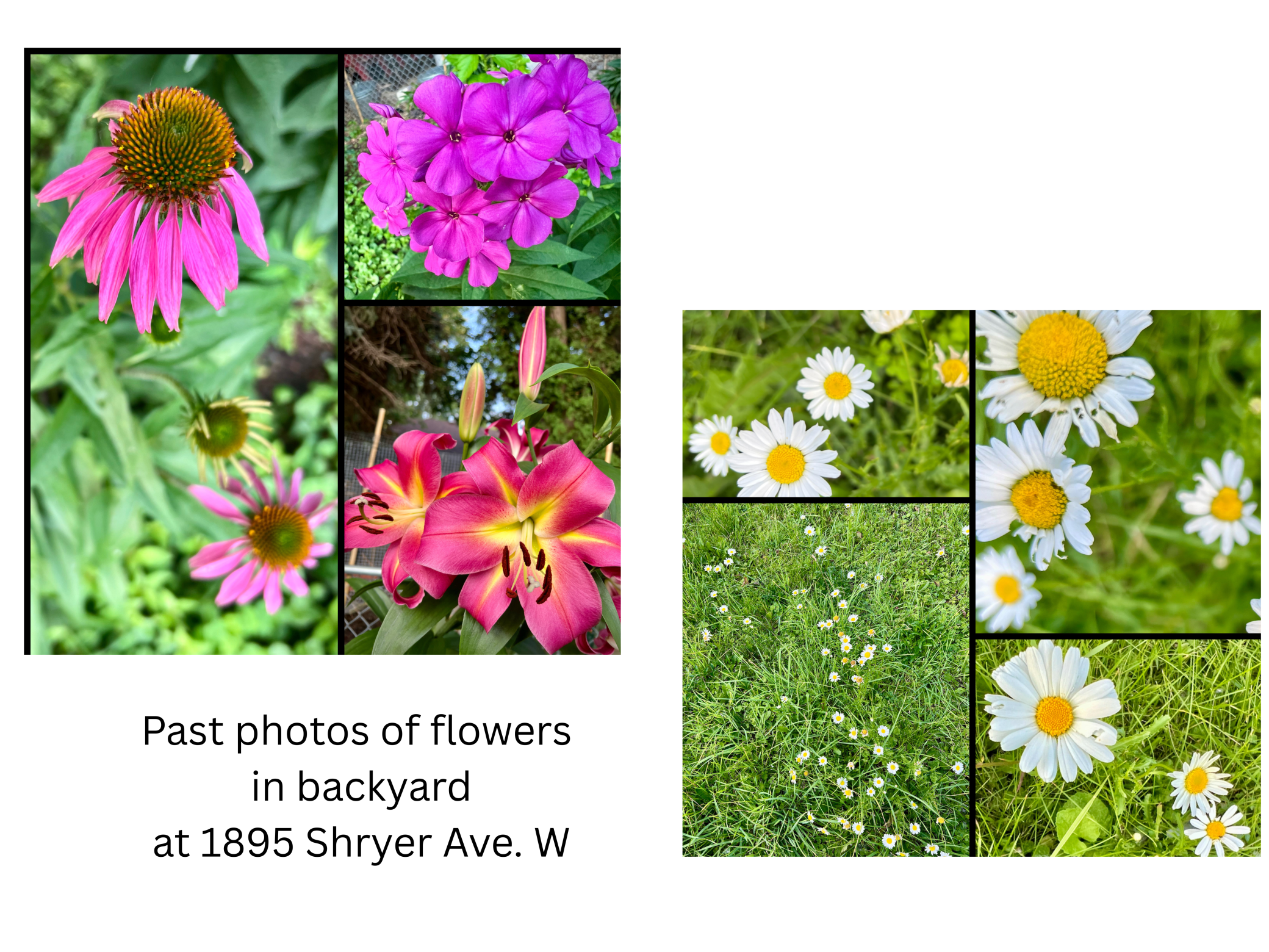 Homes for sale in Roseville, MN | 1895 Shryer Ave W, Roseville, MN 55113 | MLS# 6793376