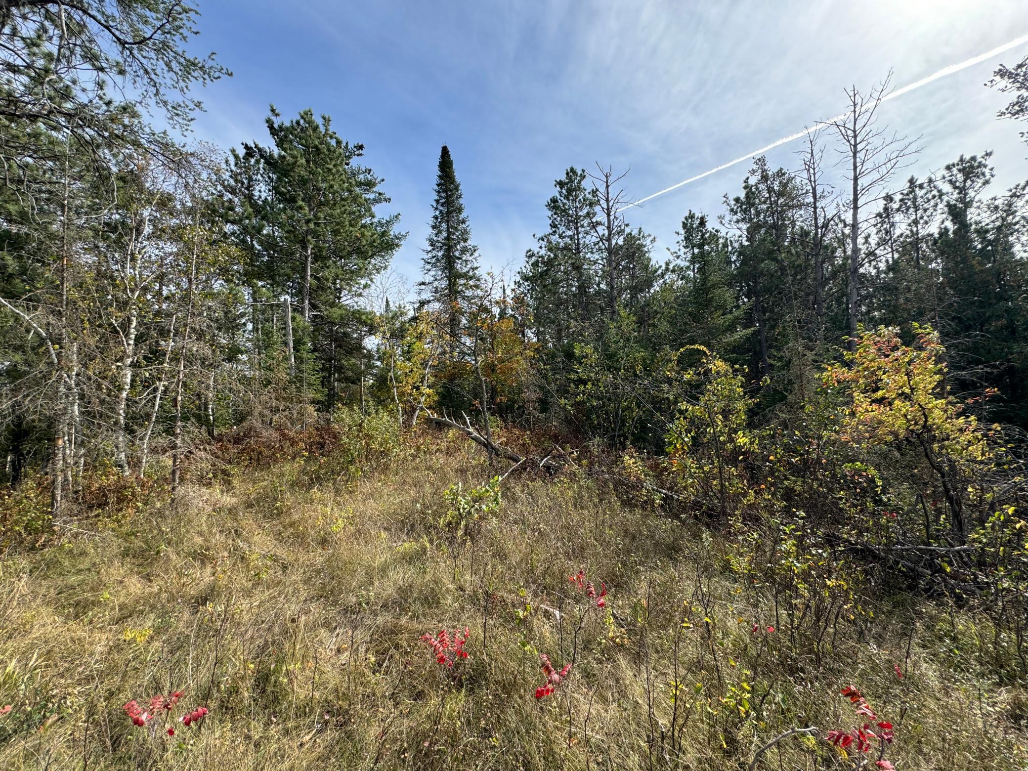 Homes for sale in Shevlin, MN | Tbd 243Rd Ave, Shevlin, MN 56676 | MLS# 6799000
