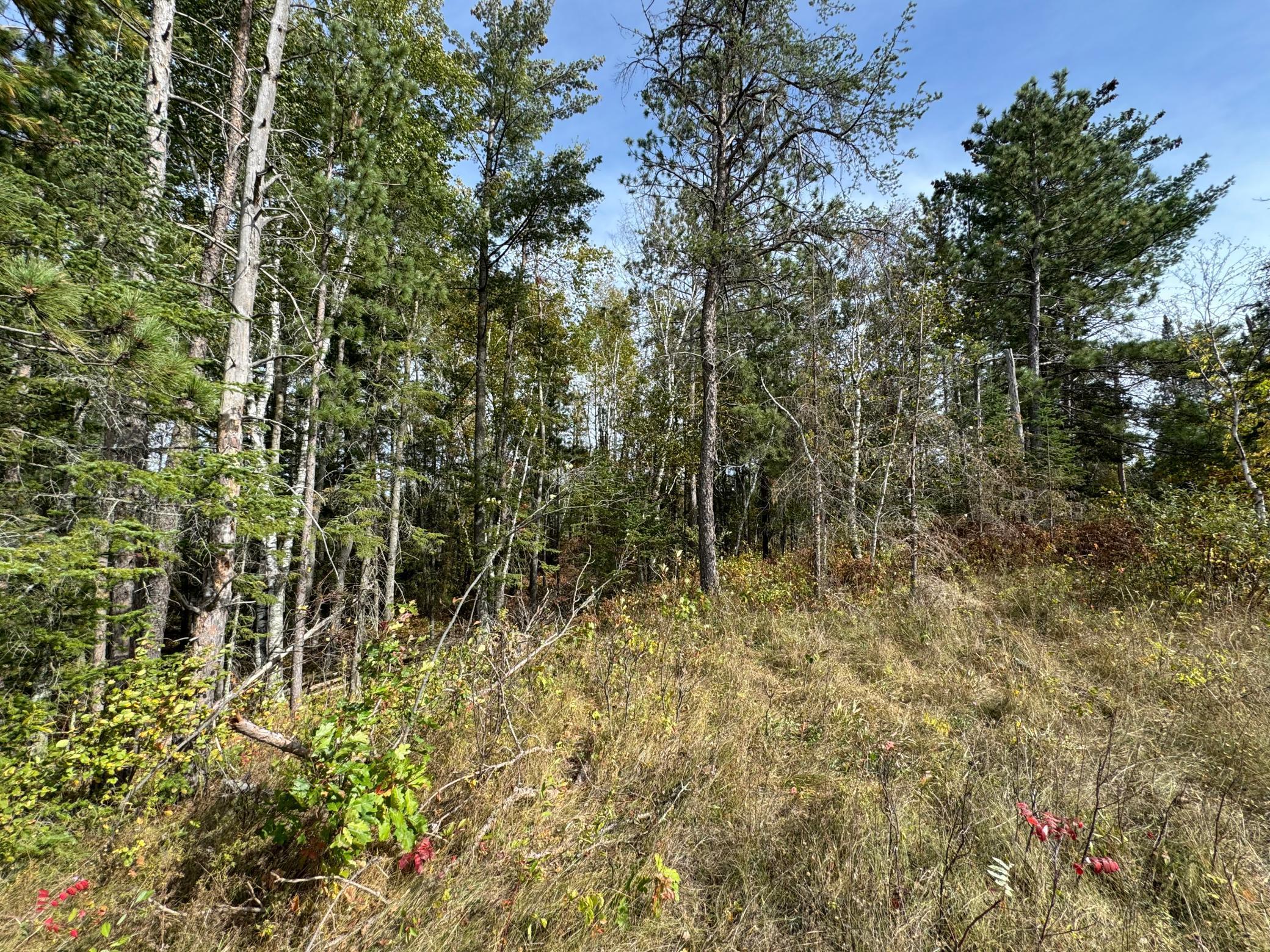 Homes for sale in Shevlin, MN | Tbd 243Rd Ave, Shevlin, MN 56676 | MLS# 6799000