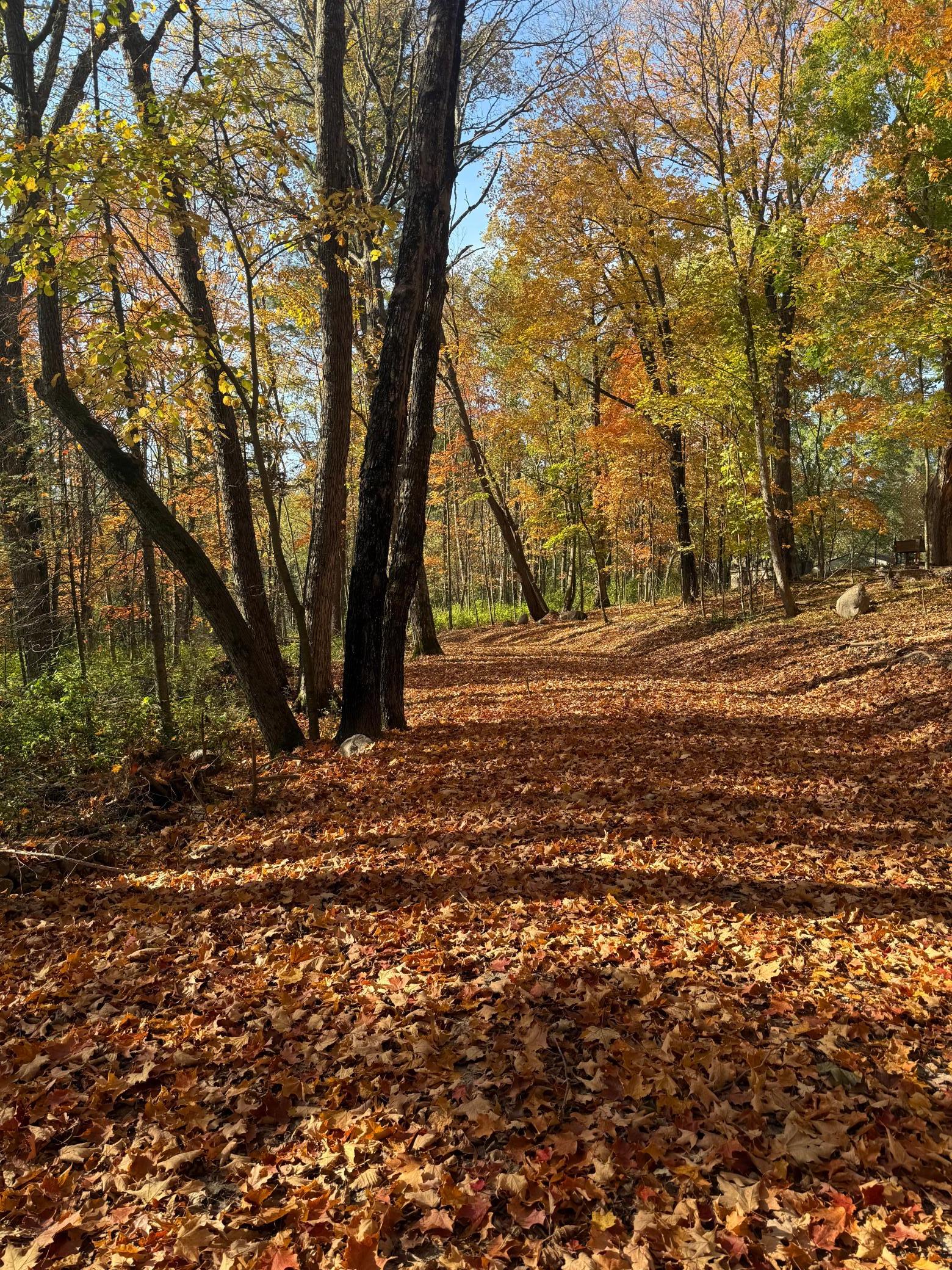 Homes for sale in Aitkin, MN | 999 Porcupine Trl, Aitkin, MN 56431 | MLS# 6799902