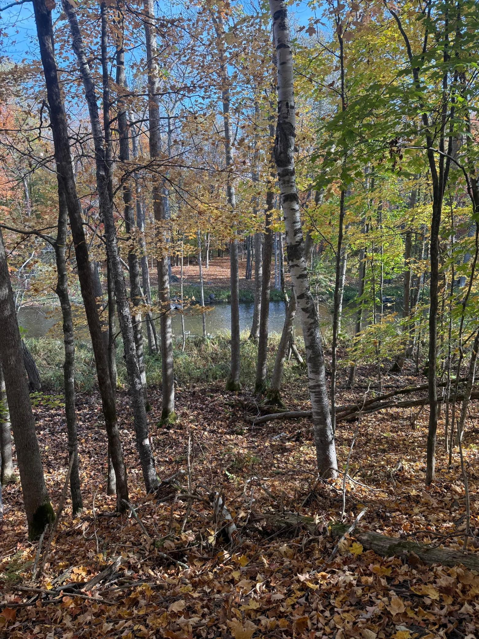 Homes for sale in Aitkin, MN | 999 Porcupine Trl, Aitkin, MN 56431 | MLS# 6799902