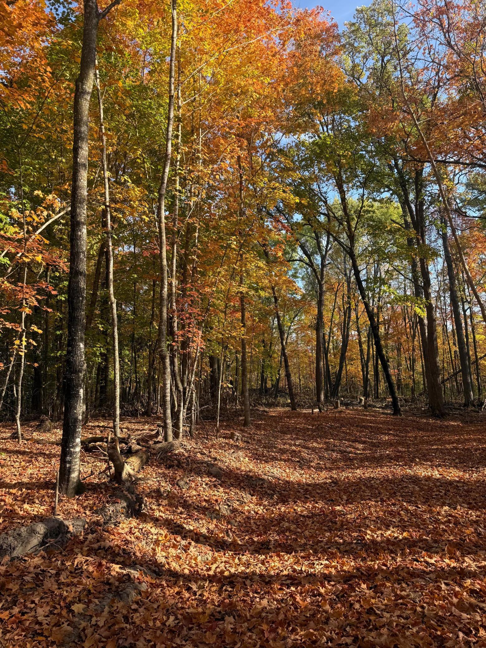 Homes for sale in Aitkin, MN | 999 Porcupine Trl, Aitkin, MN 56431 | MLS# 6799902