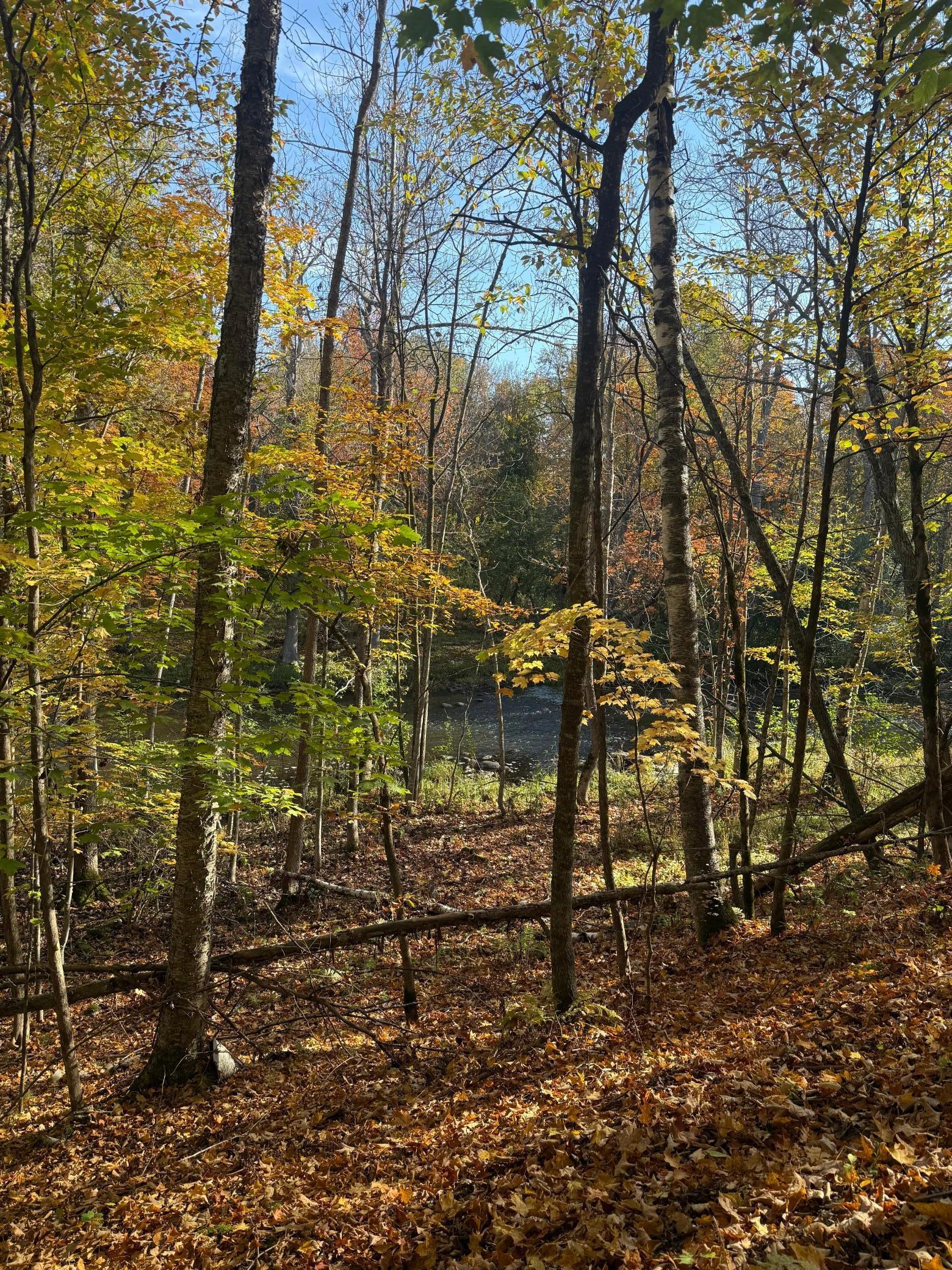 Homes for sale in Aitkin, MN | 999 Porcupine Trl, Aitkin, MN 56431 | MLS# 6799902