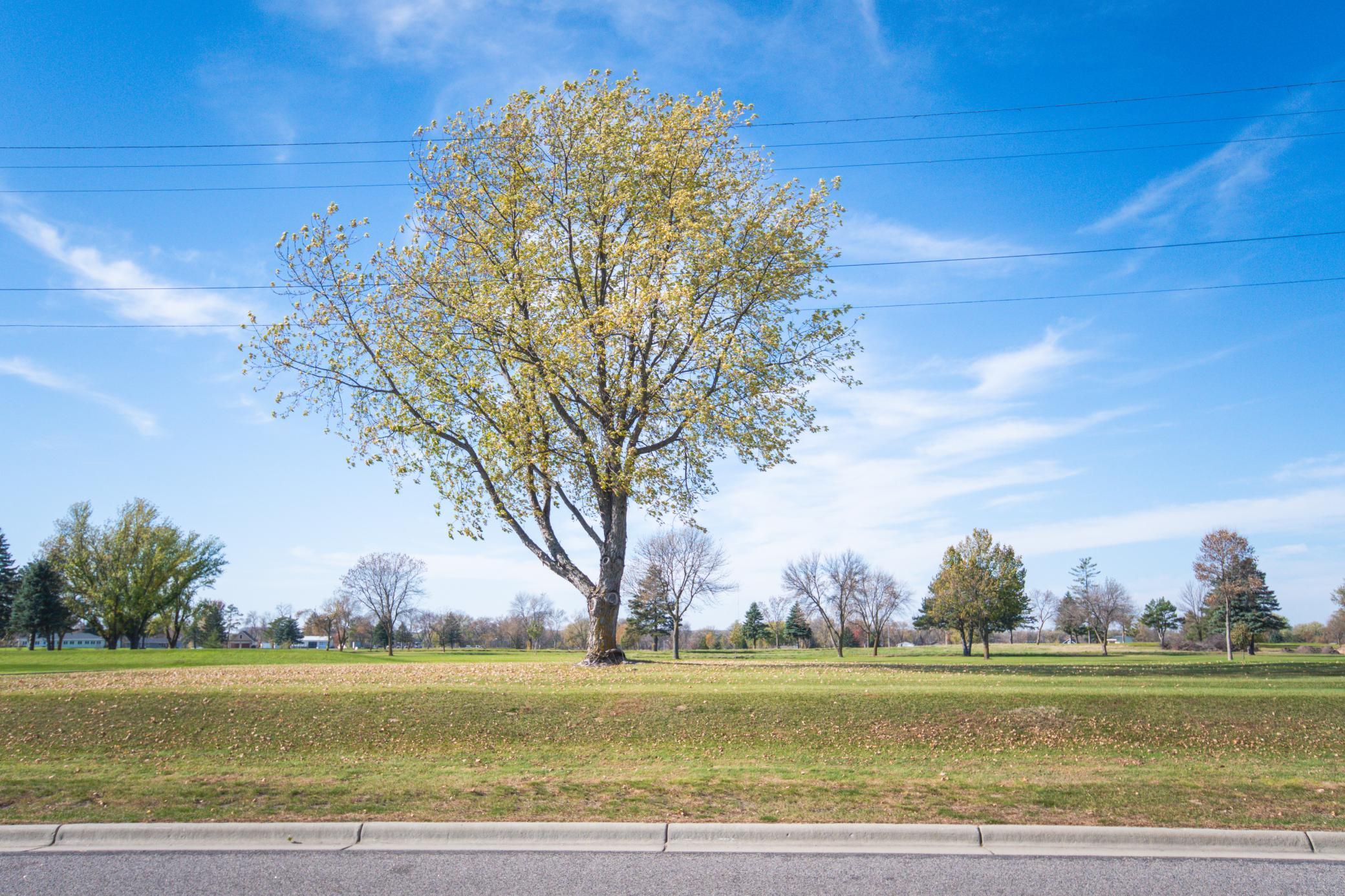 Homes for sale in Sauk Centre, MN | 714 Main St N, Sauk Centre, MN 56378 | MLS# 6807524