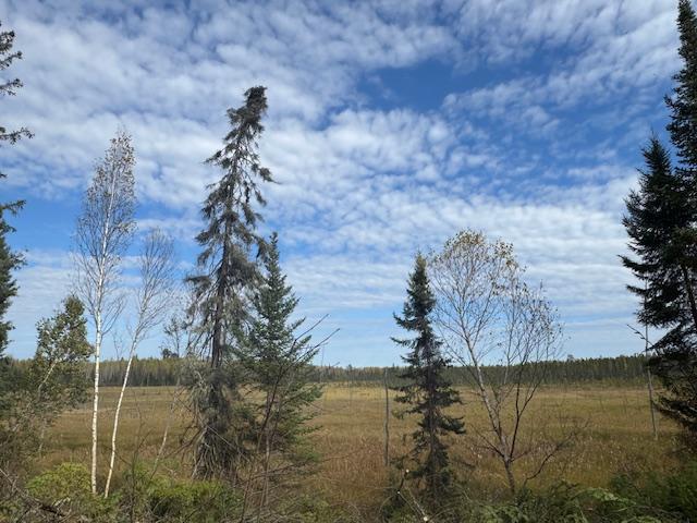 11th image of Parcel 13 Tbd Hwy 115, Tower, MN 55790 | MLS# 6807713