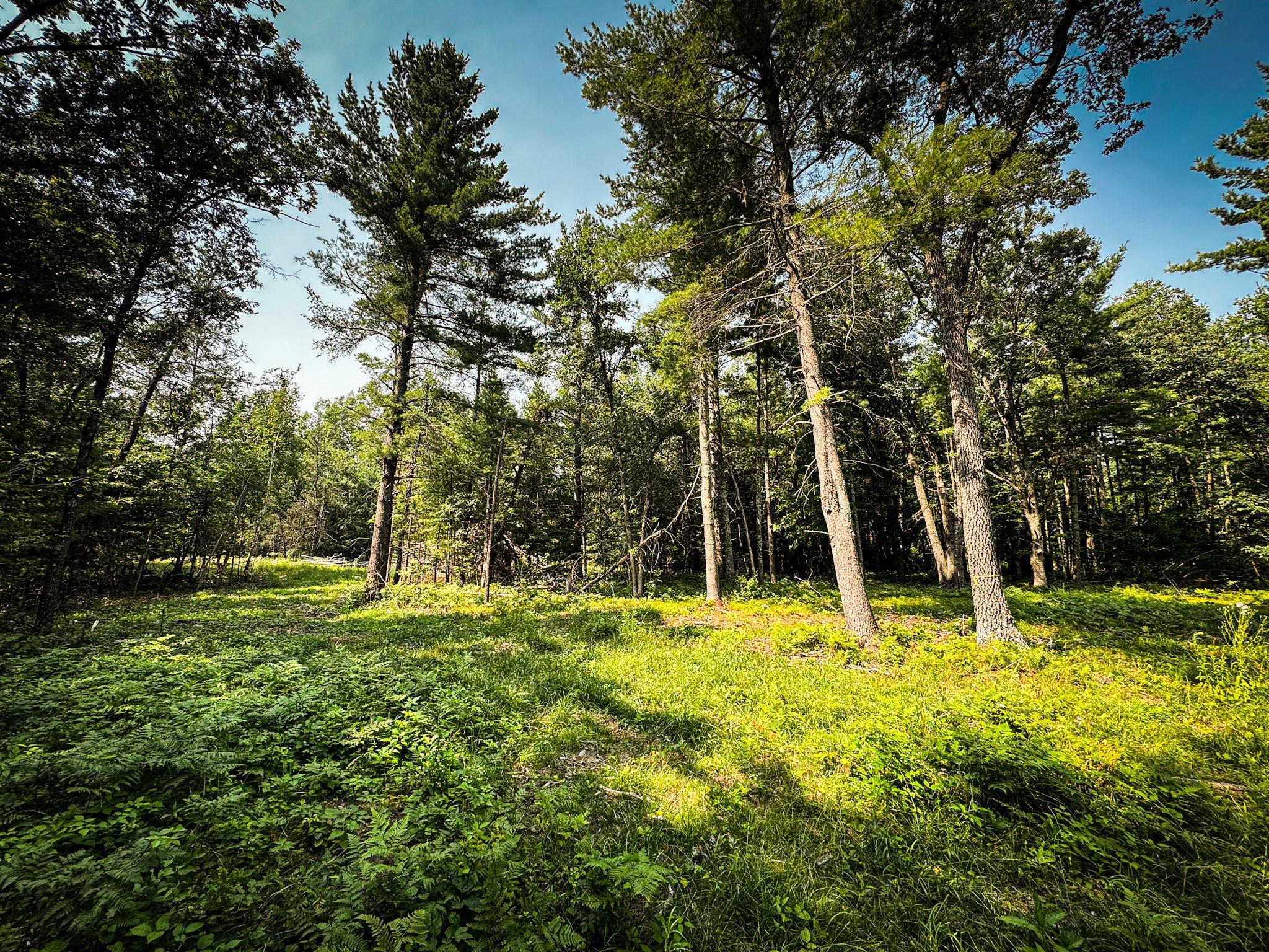 Homes for sale in Webster, WI | 26987 Marias Way, Webster, WI 54893 | MLS# 6808839