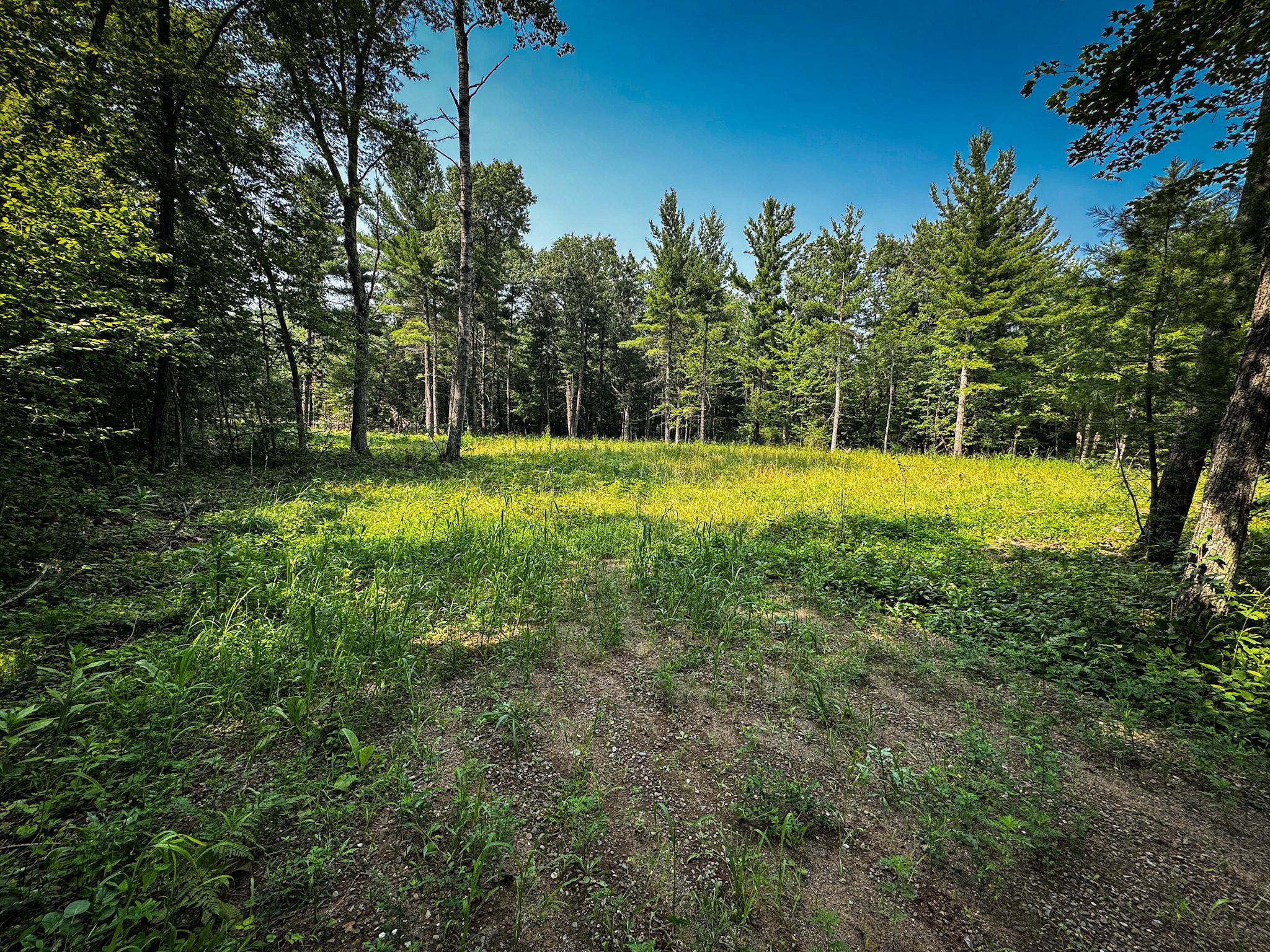 Homes for sale in Webster, WI | 26987 Marias Way, Webster, WI 54893 | MLS# 6808839