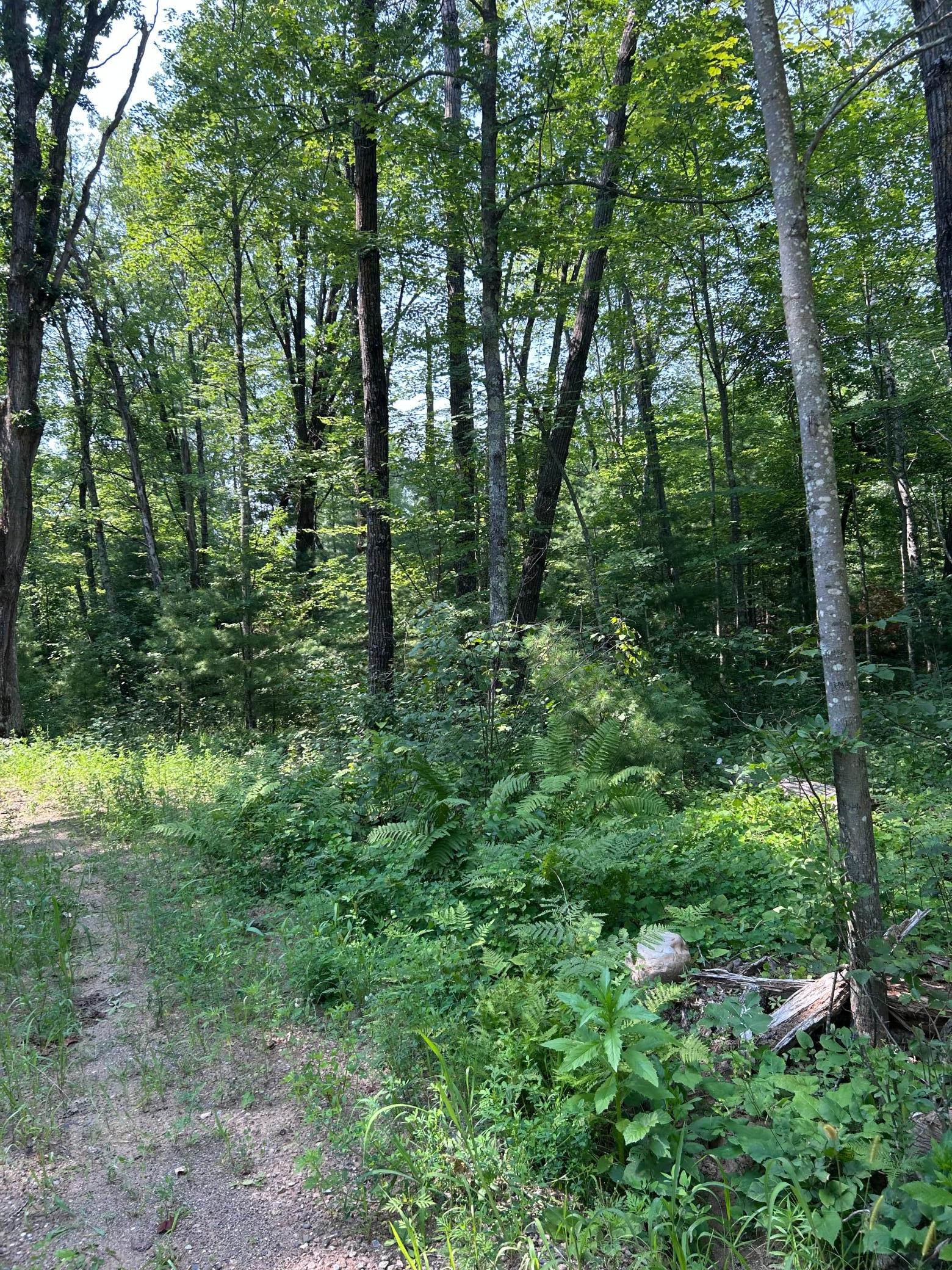 Homes for sale in Webster, WI | 26987 Marias Way, Webster, WI 54893 | MLS# 6808839