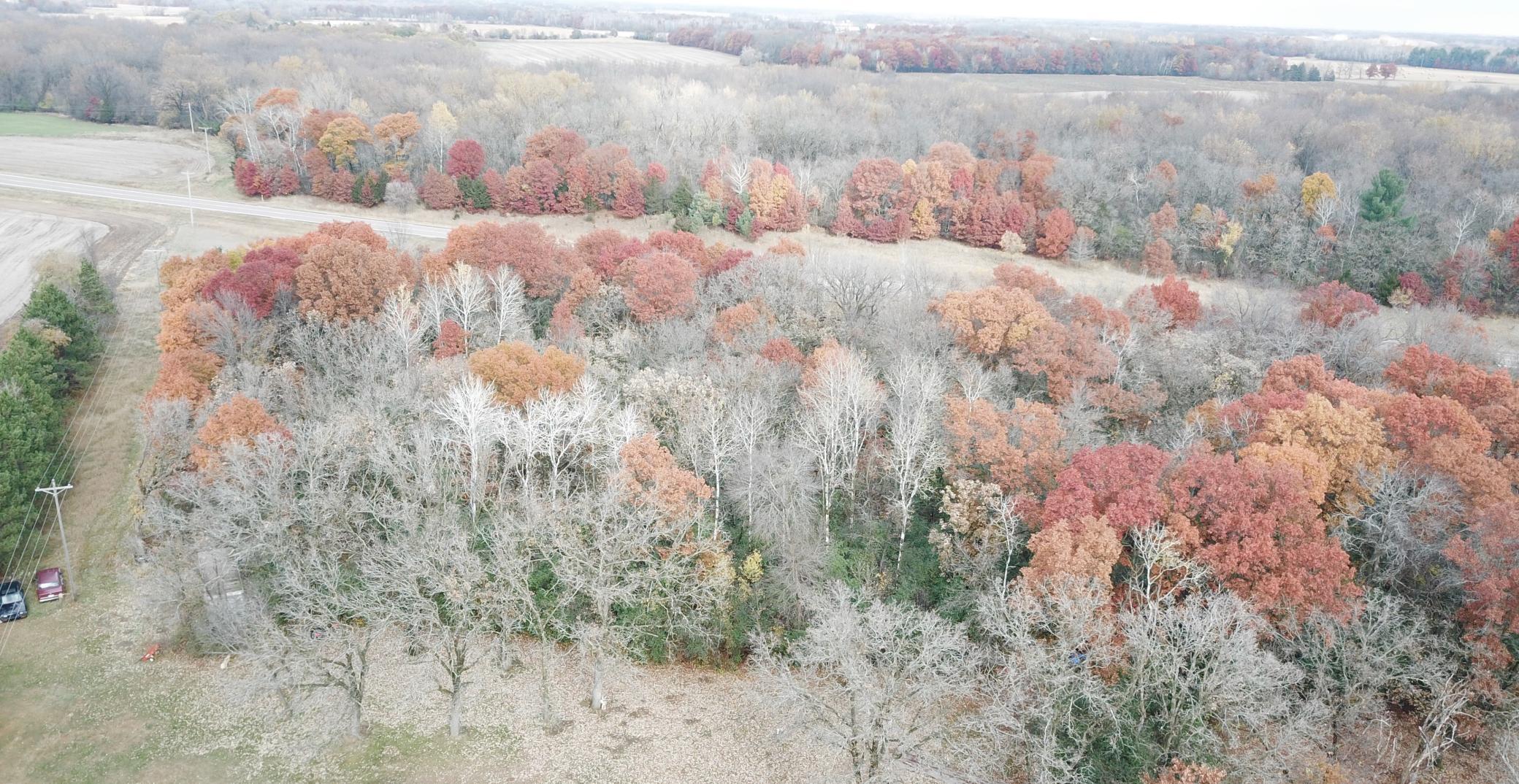 Homes for sale in Santiago Twp, MN | Tbd 17Th St, Santiago Twp, MN 55319 | MLS# 6809562