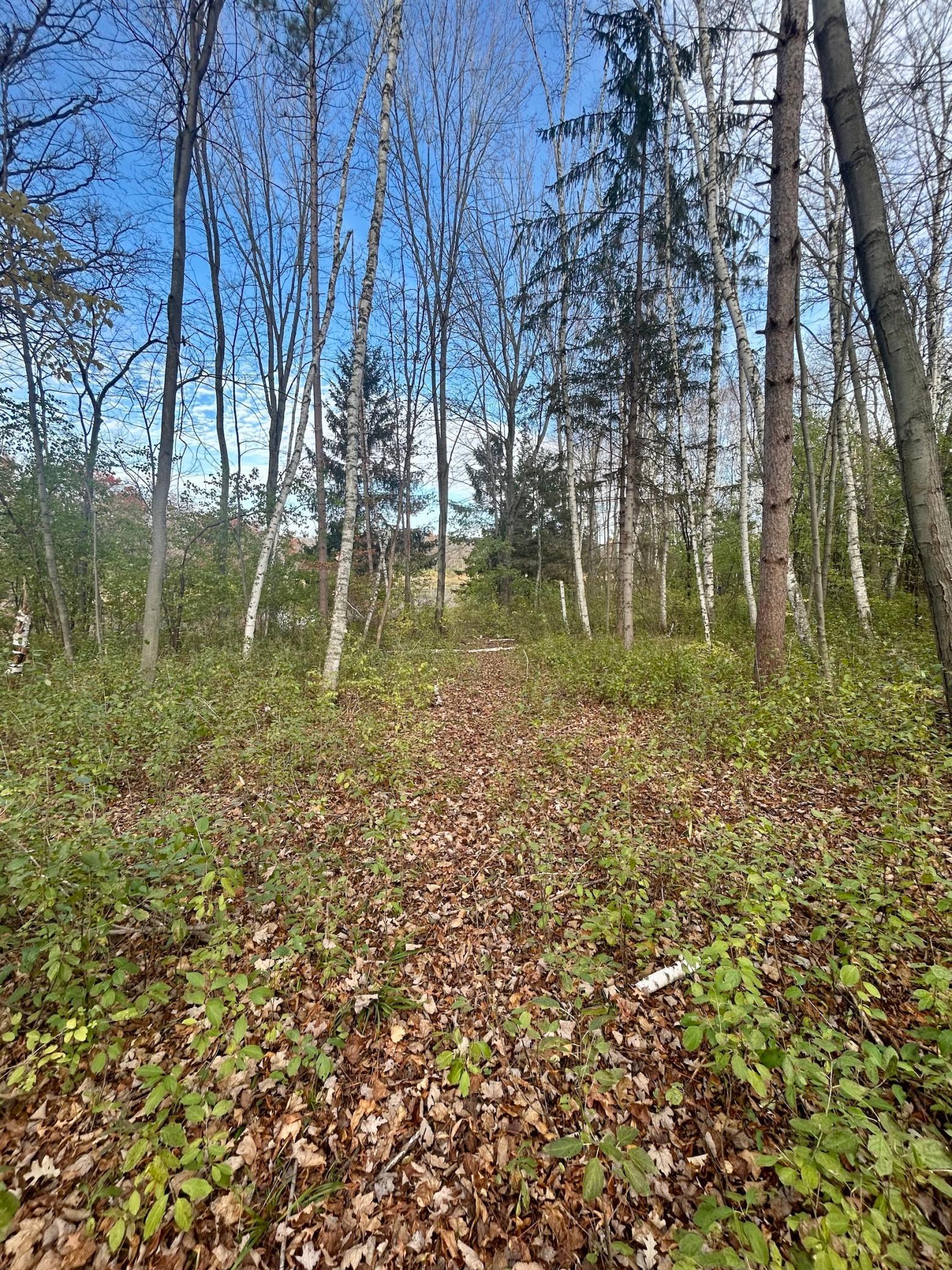 Homes for sale in Lincoln Twp, WI | 1089 65th Ave #F, Lincoln Twp, WI 54001 | MLS# 6810530