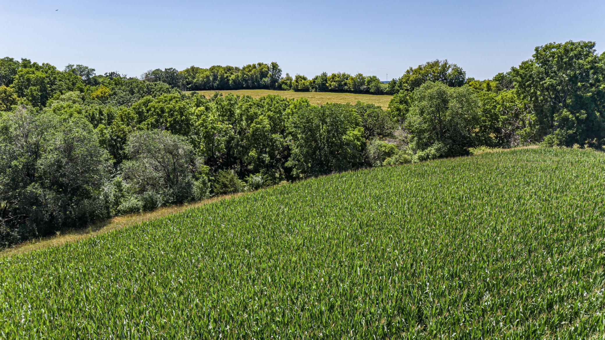 Homes for sale in Rochester Twp, MN | X Country Club Rd W, Rochester Twp, MN 55902 | MLS# 6810905