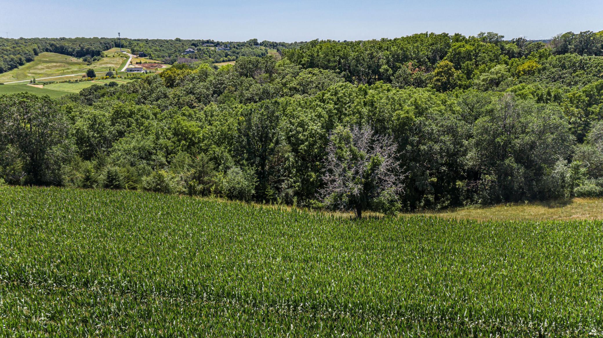 Homes for sale in Rochester Twp, MN | X Country Club Rd W, Rochester Twp, MN 55902 | MLS# 6810905