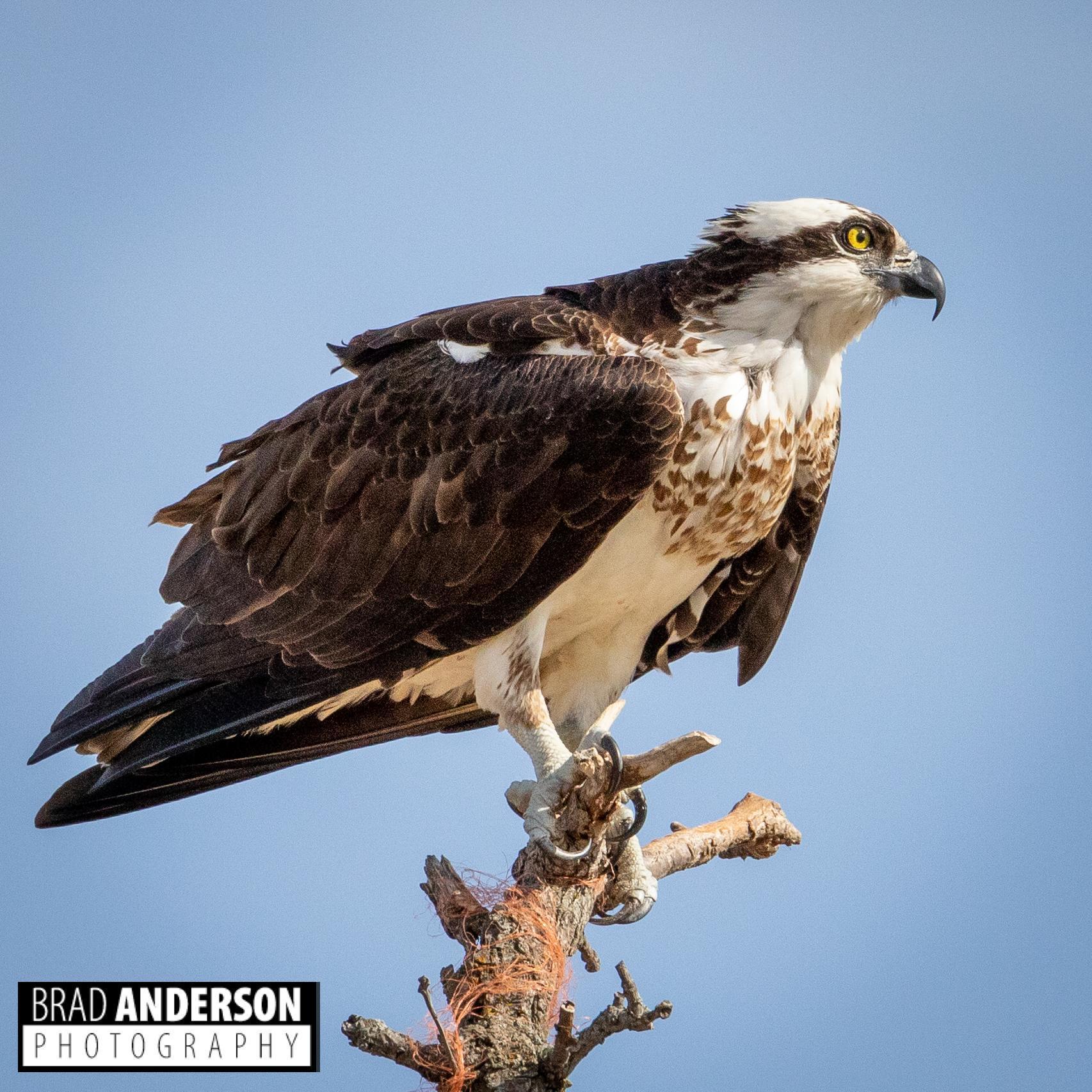 Homes for sale in Ottertail, MN | 315Xx Leaf River Road Lot E, Ottertail, MN 56571 | MLS# 6811279