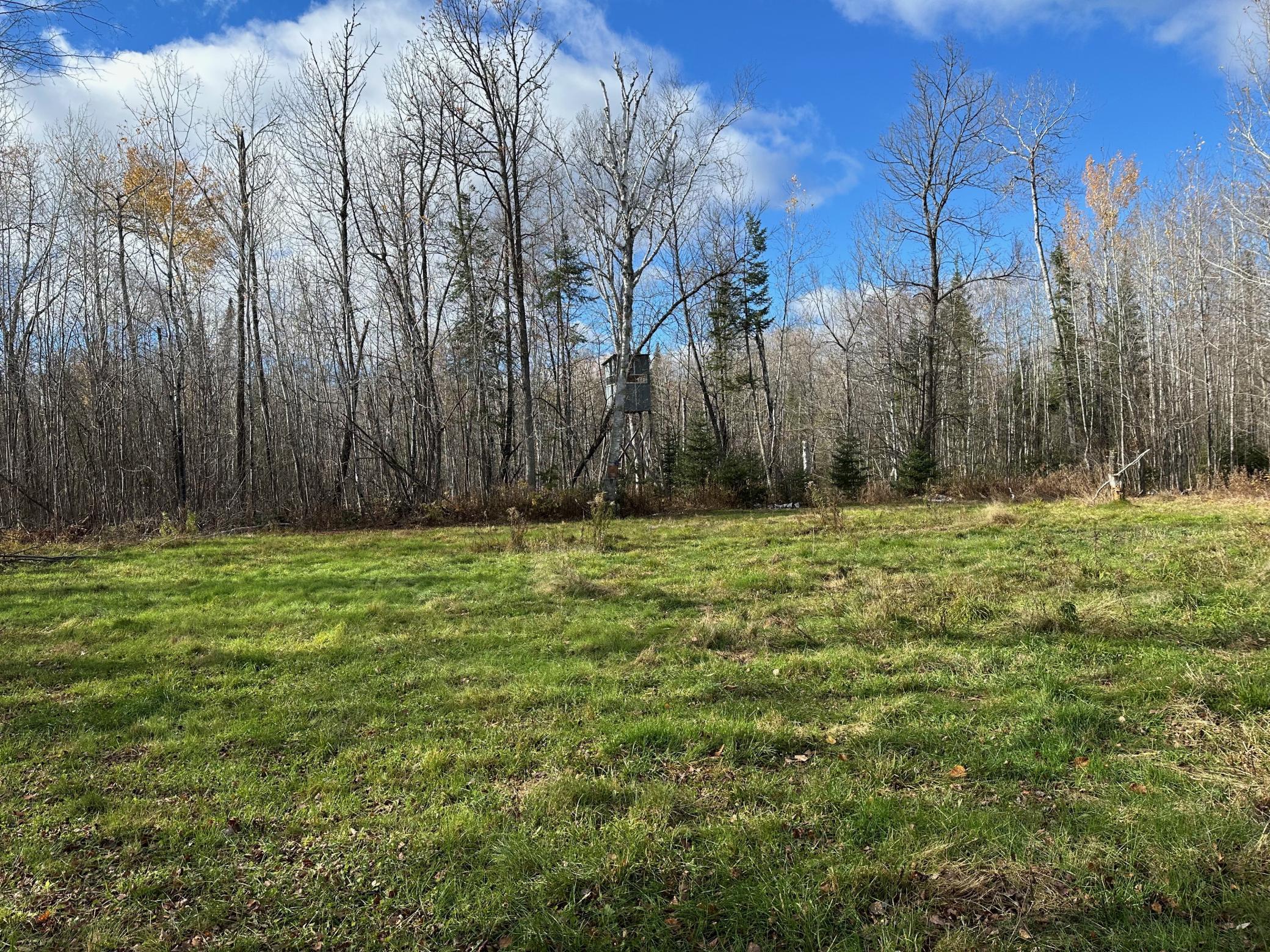 Homes for sale in Jacobson, MN | Tbdxx State Hwy 65, Jacobson, MN 55752 | MLS# 6811415